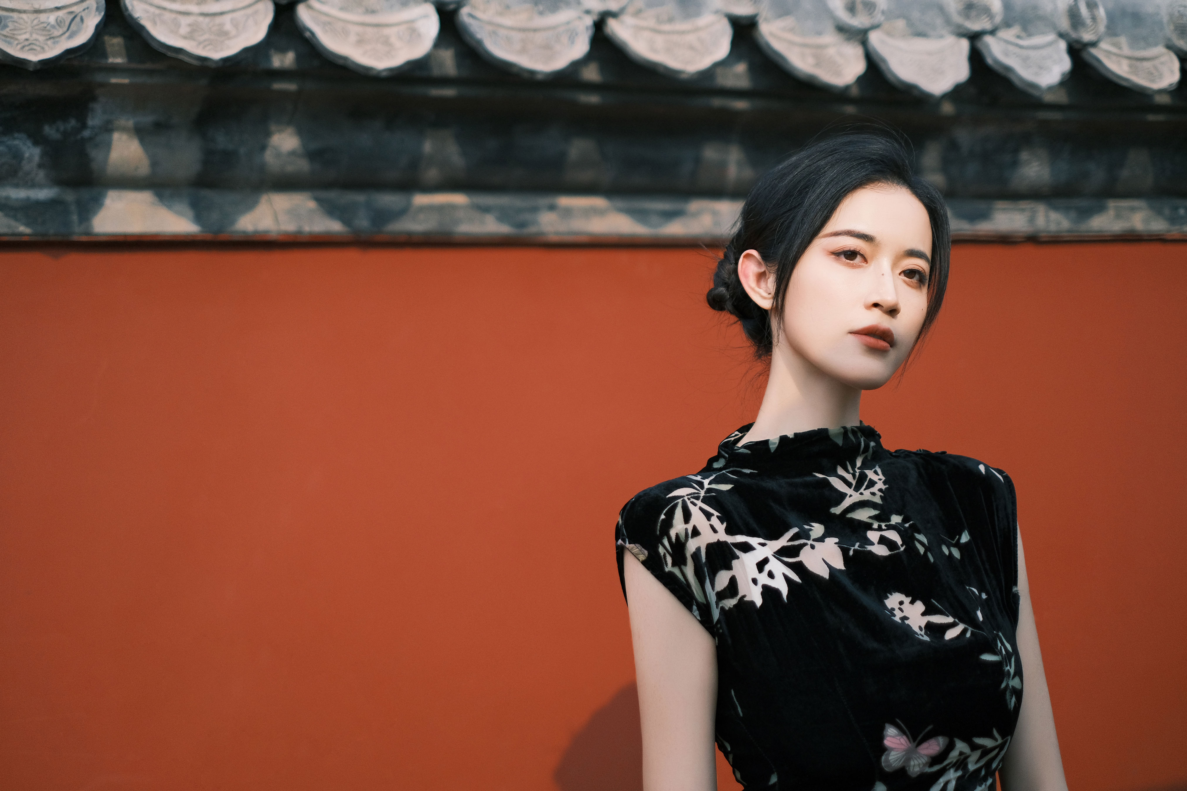 红墙雅韵