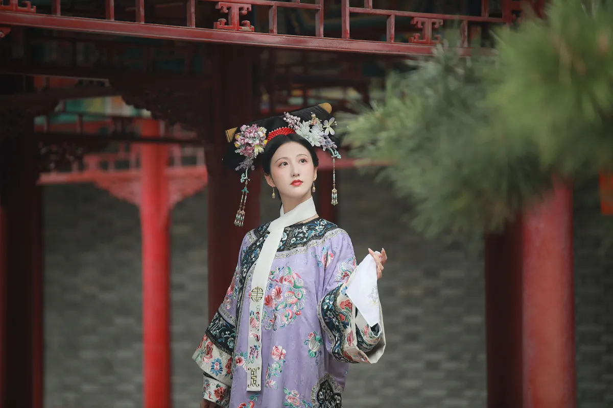 子瞬_徽音子《紫禁城》美图作品图片5