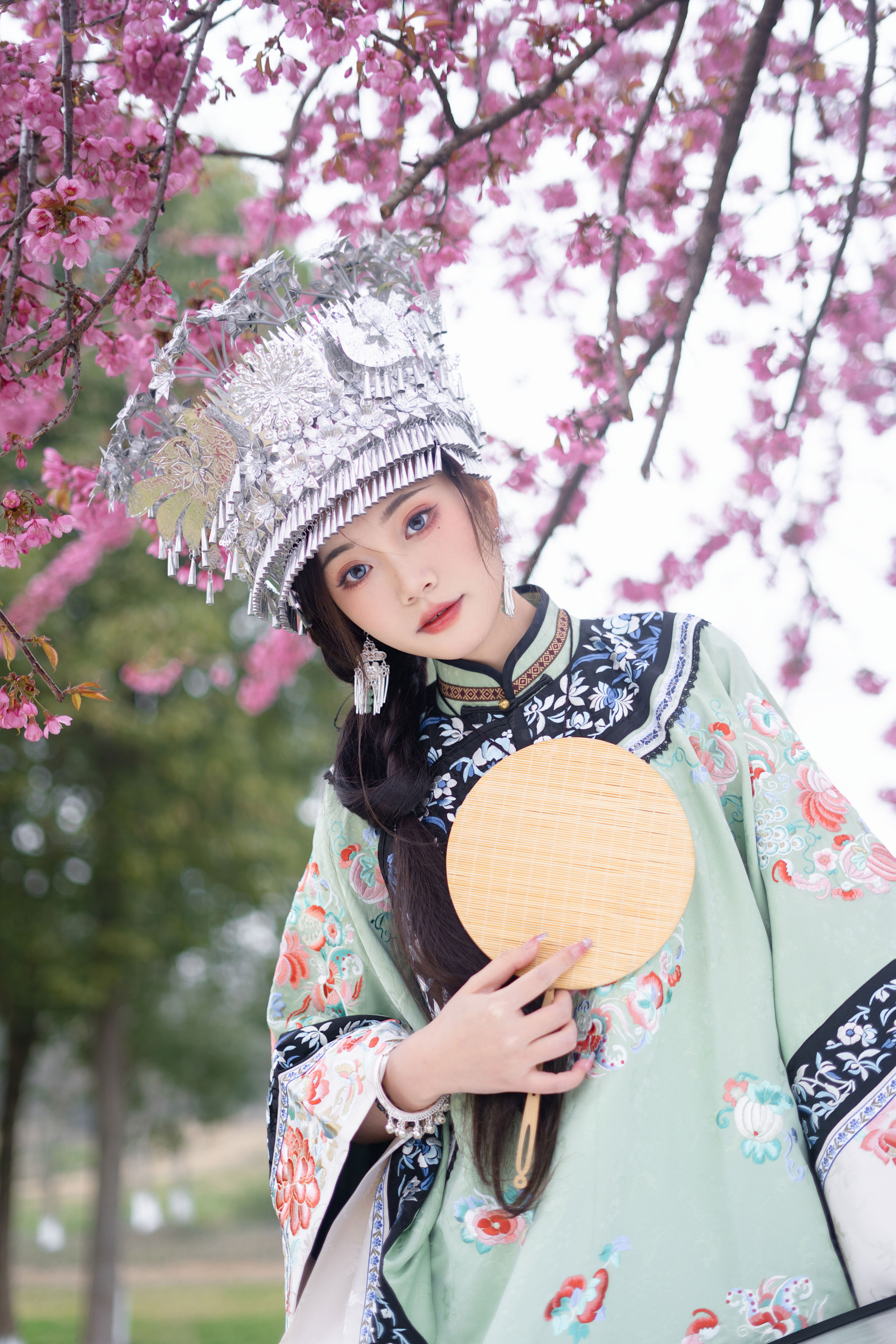 樱花树下