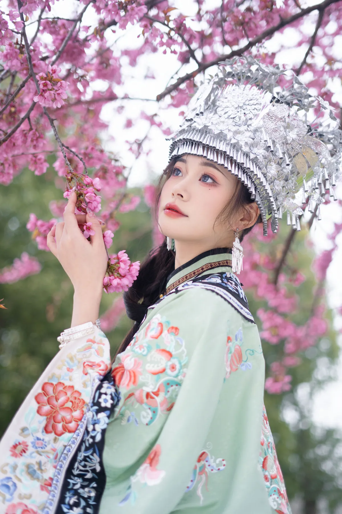 樱花树下
