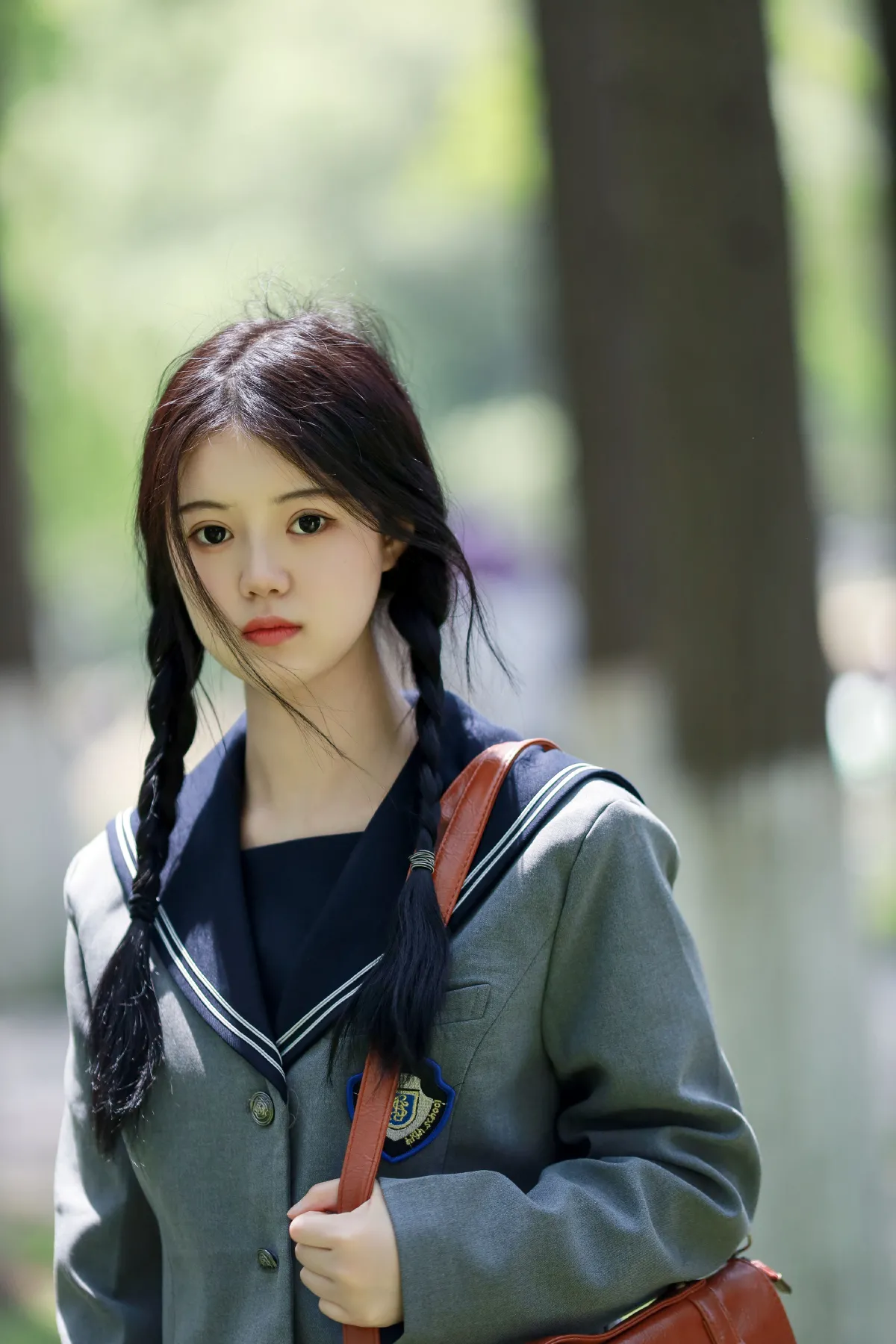 森林之光1