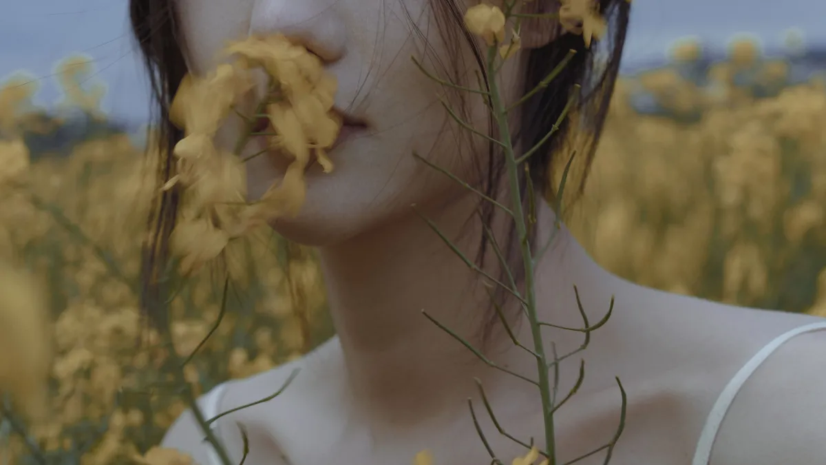 家乡的油菜花开了