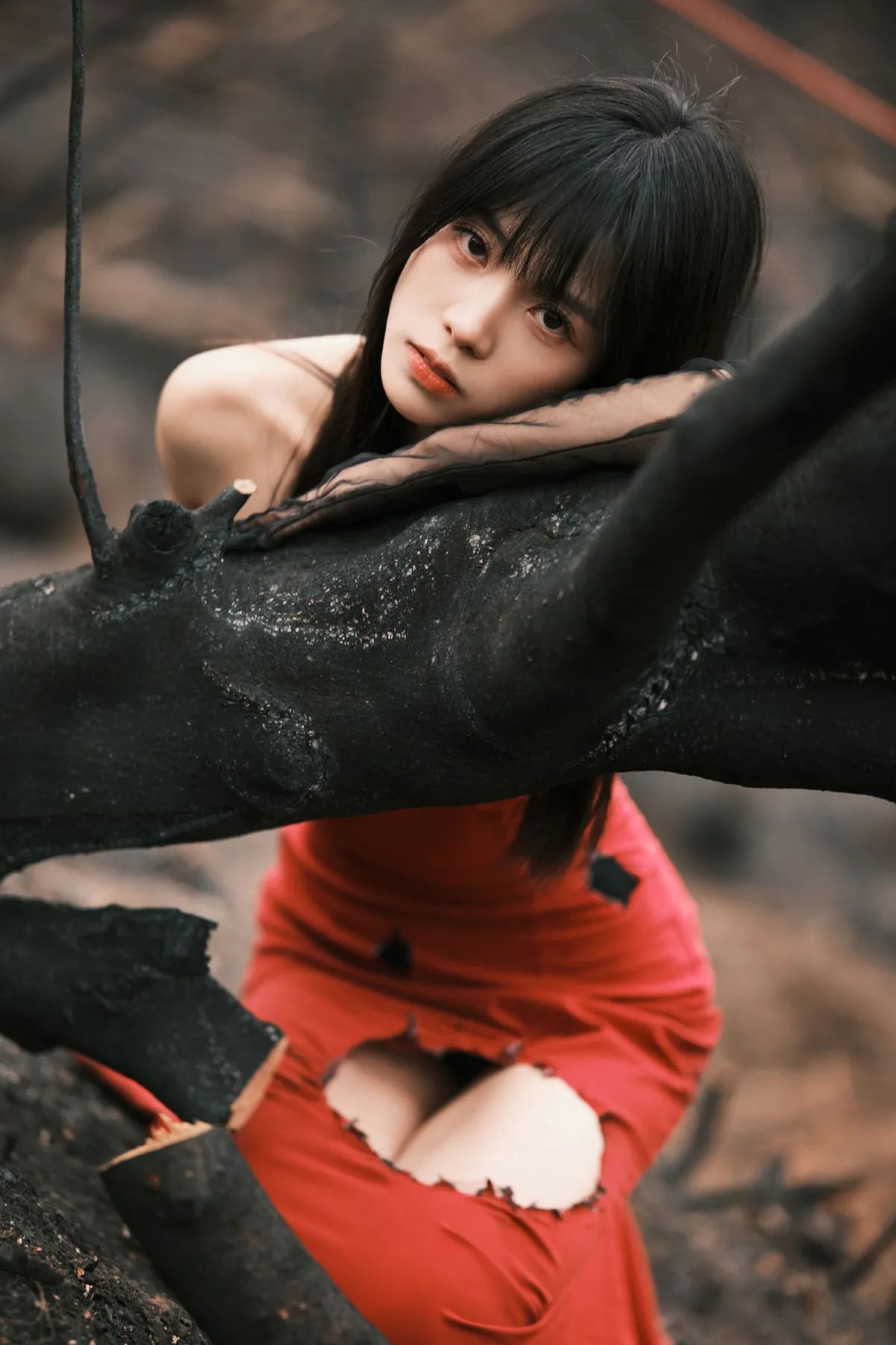 山火余烬