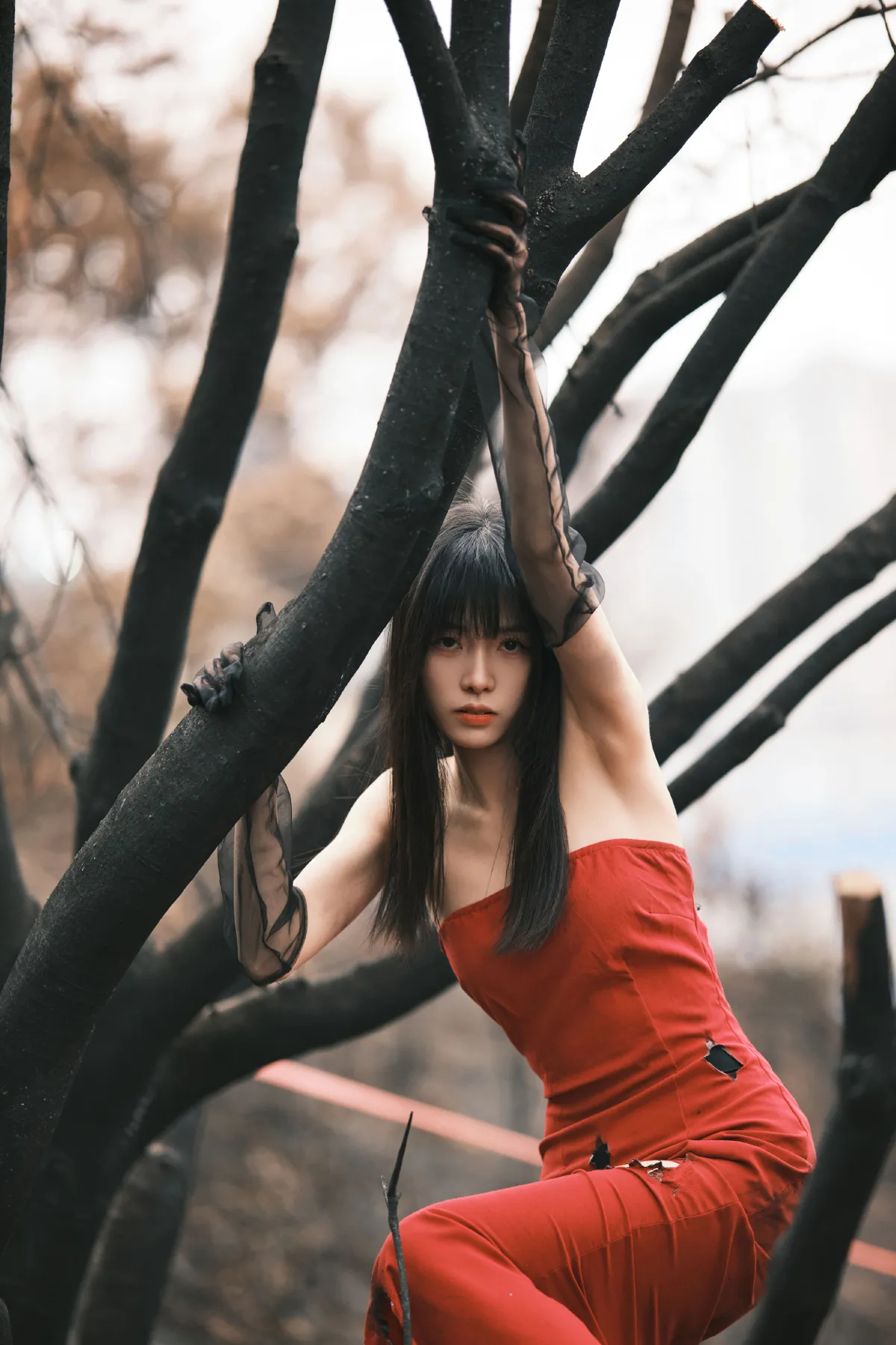 山火余烬
