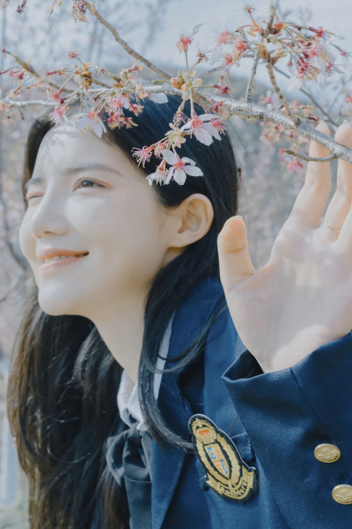 樱花已开