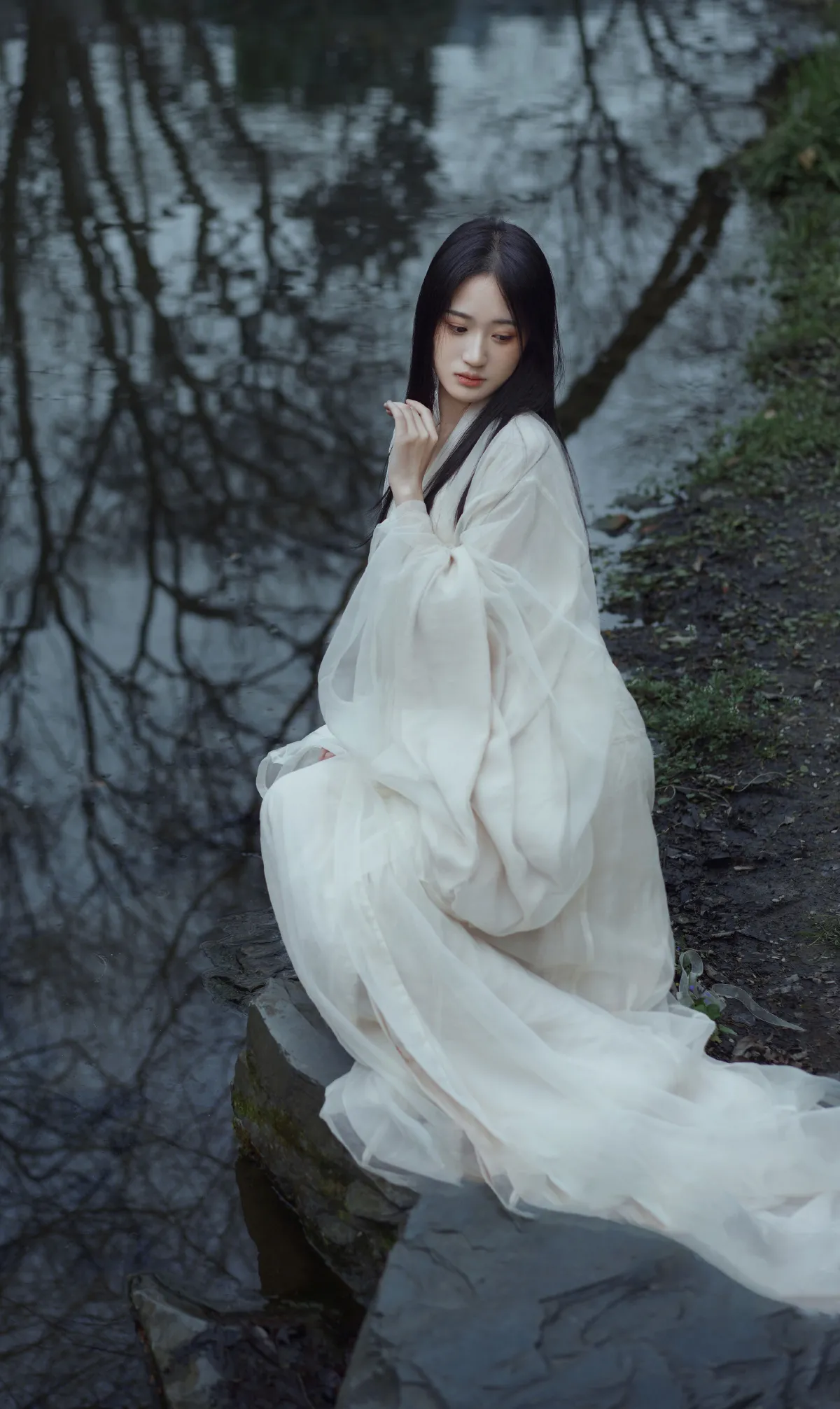 二月兰花