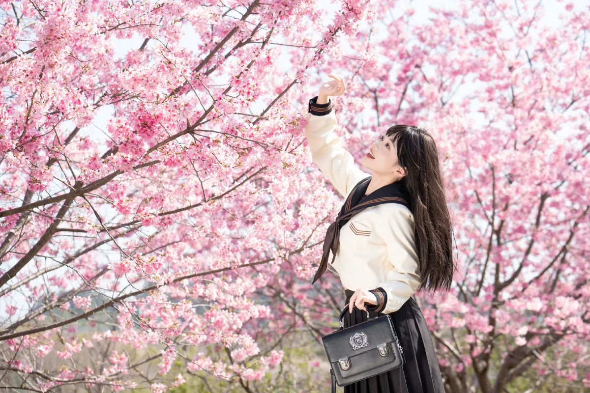 樱花少女