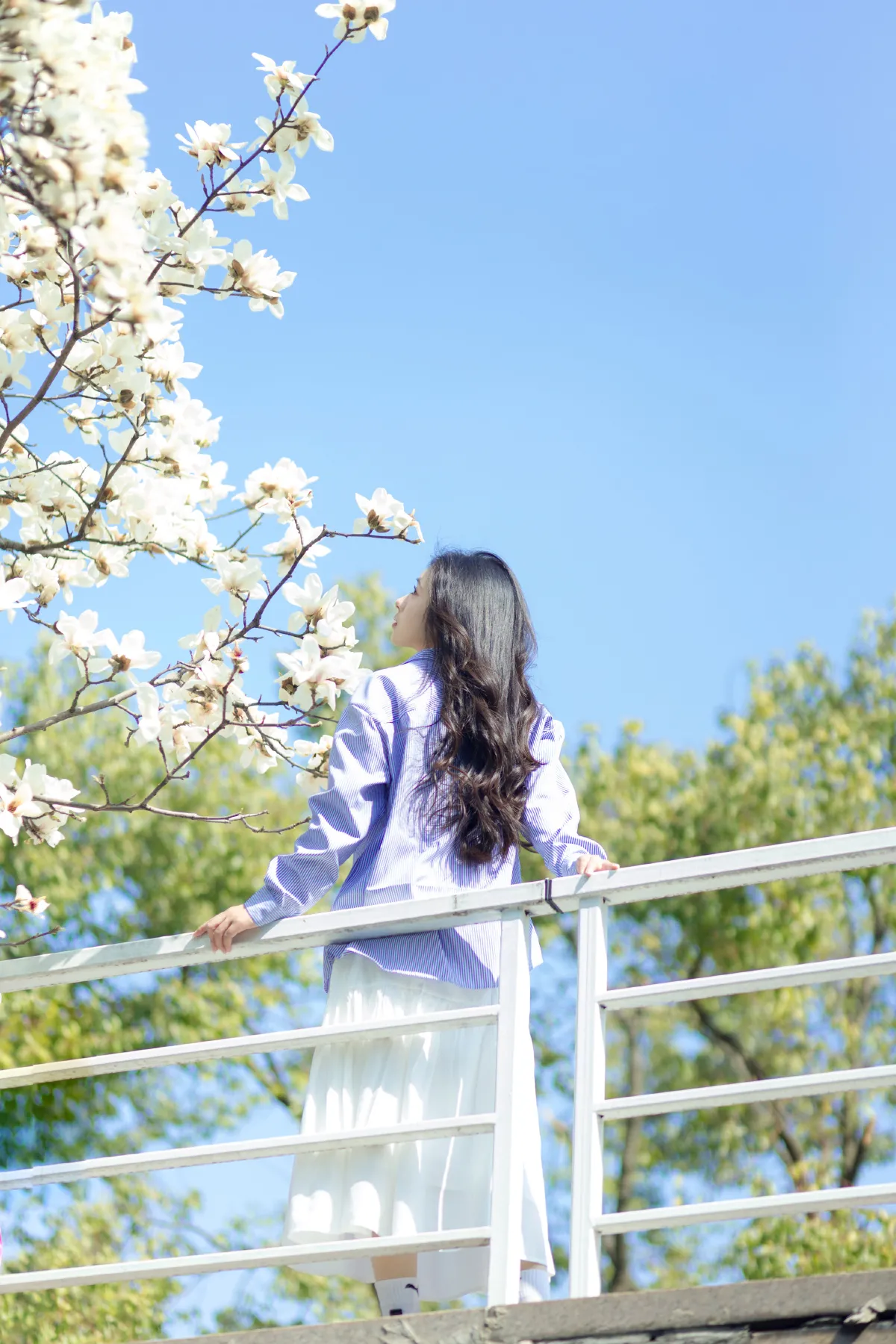 春和景明