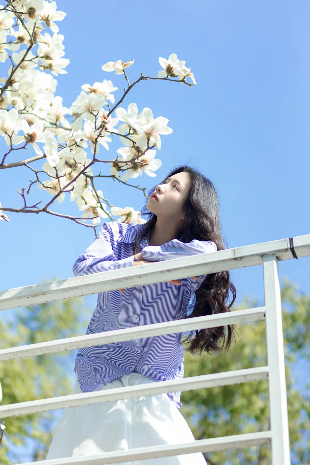 春和景明