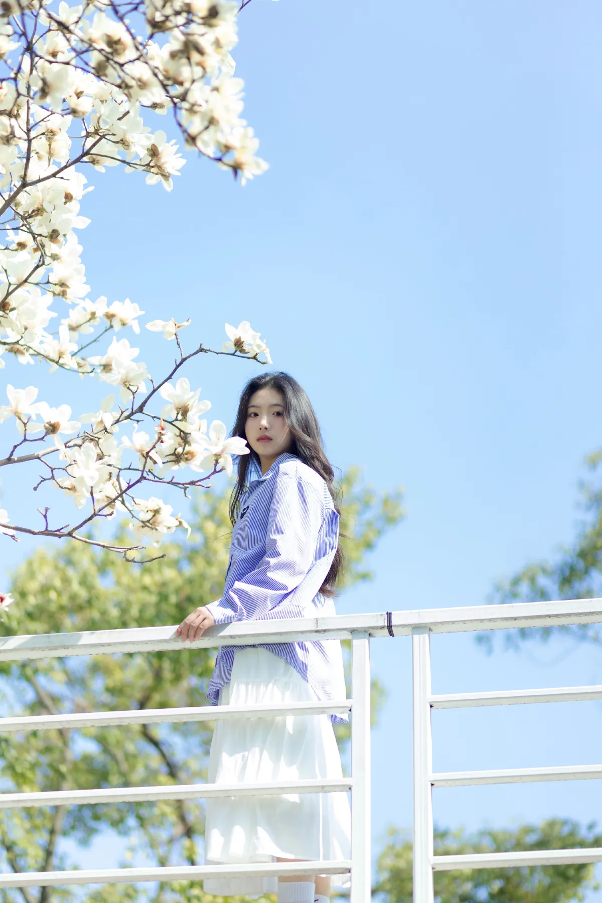春和景明
