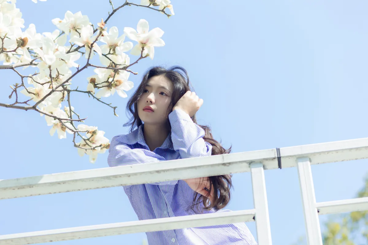 春和景明