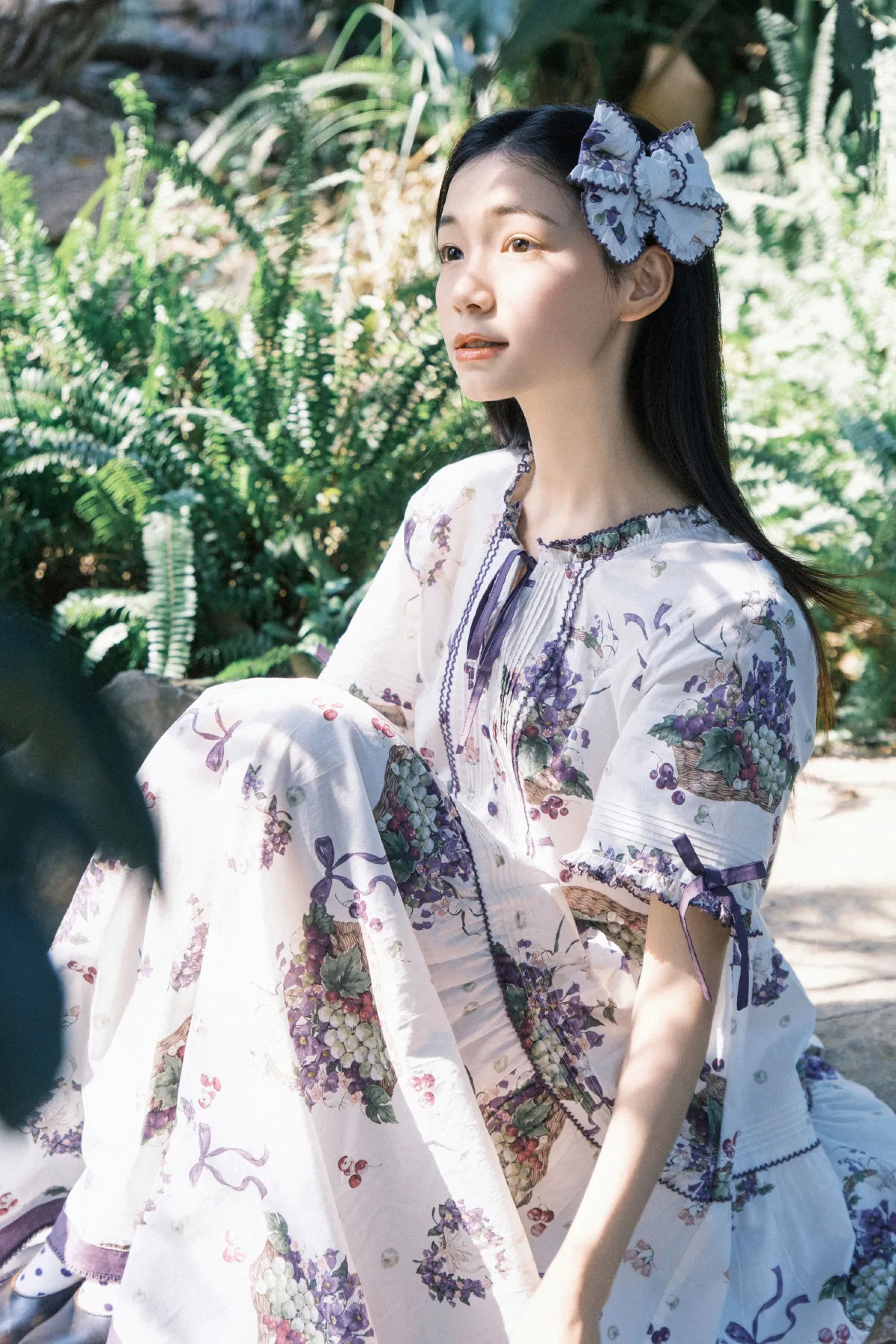 葡萄藤的夏天