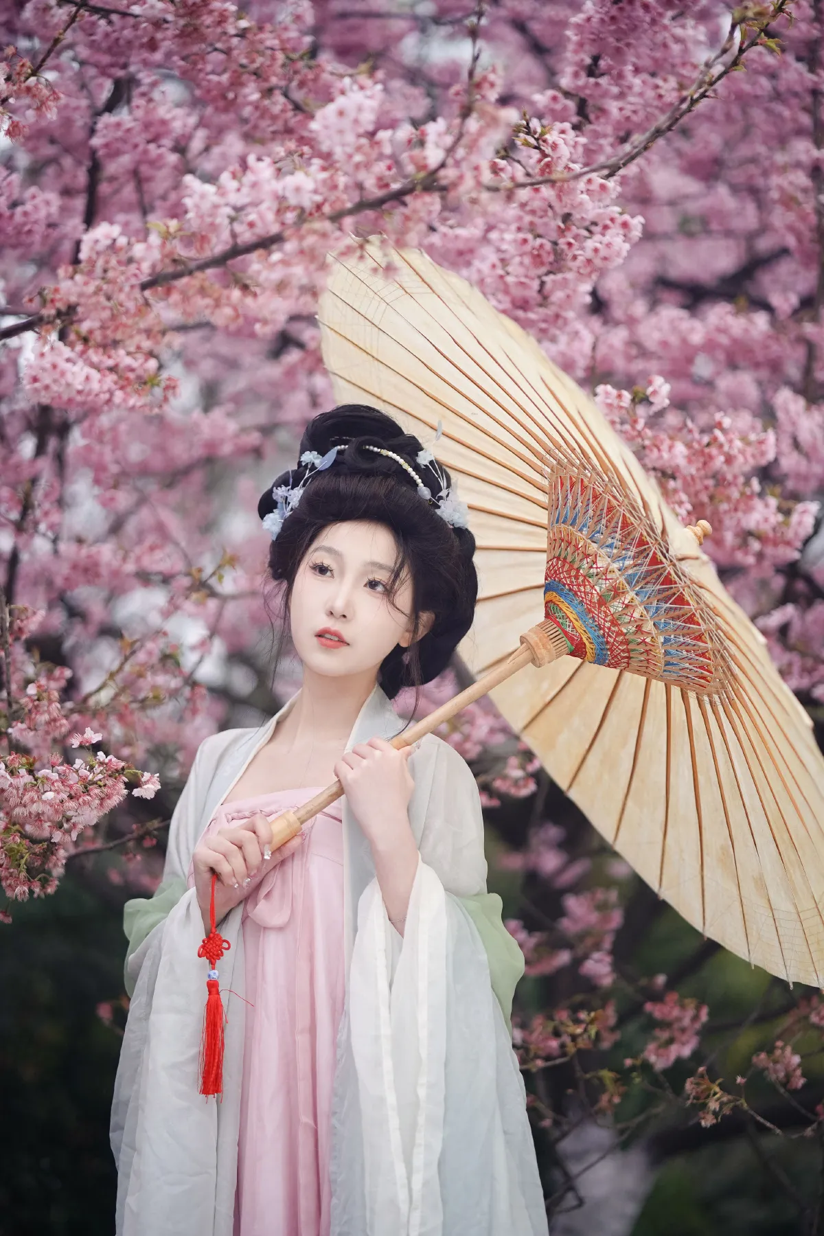 春樱1