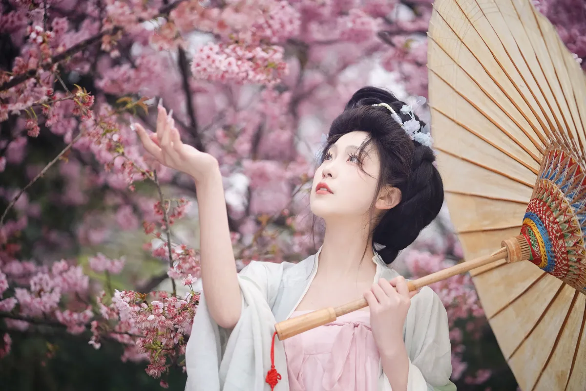 春樱