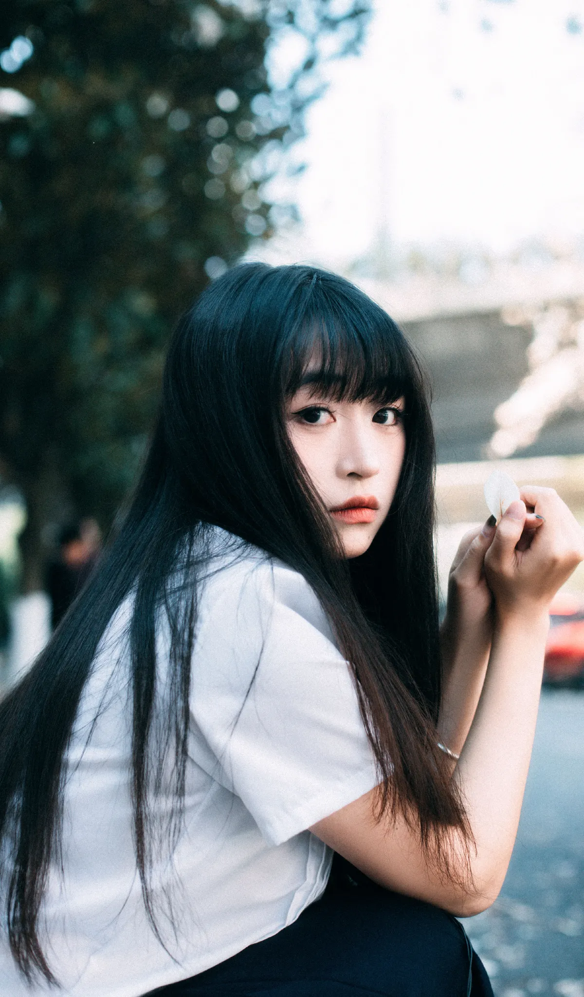 任然盛开的玉兰花街头
