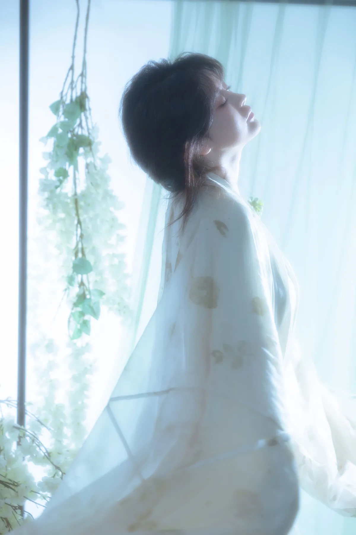 青萝2