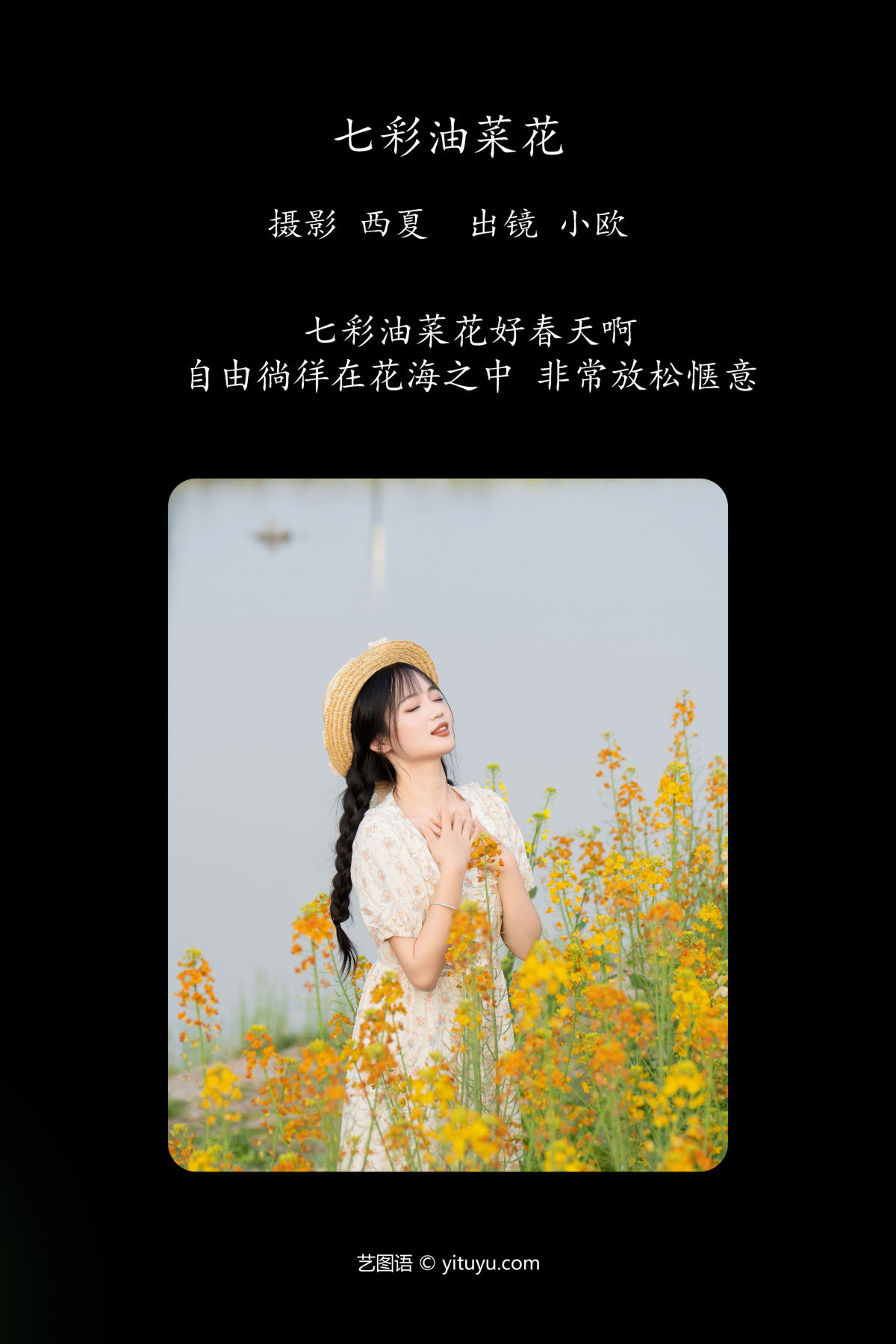 西夏_小欧O《七彩油菜花》美图作品图片2