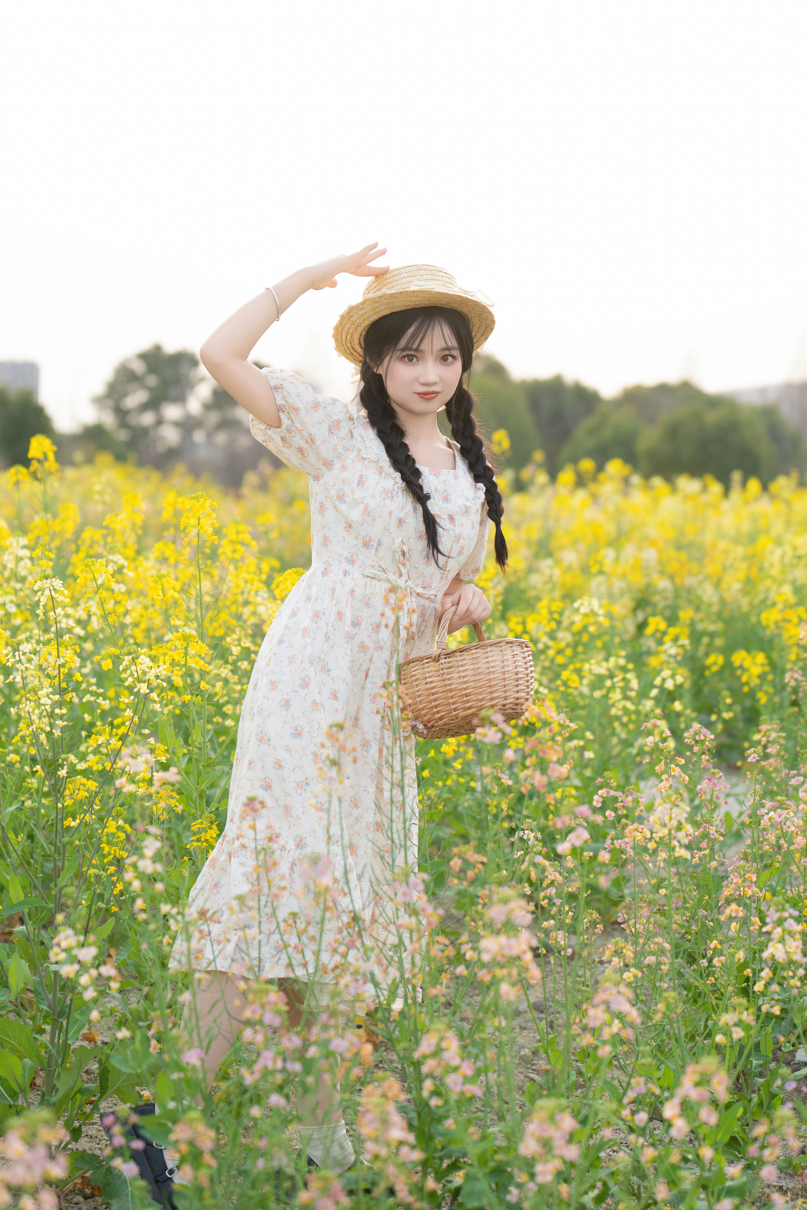 七彩油菜花