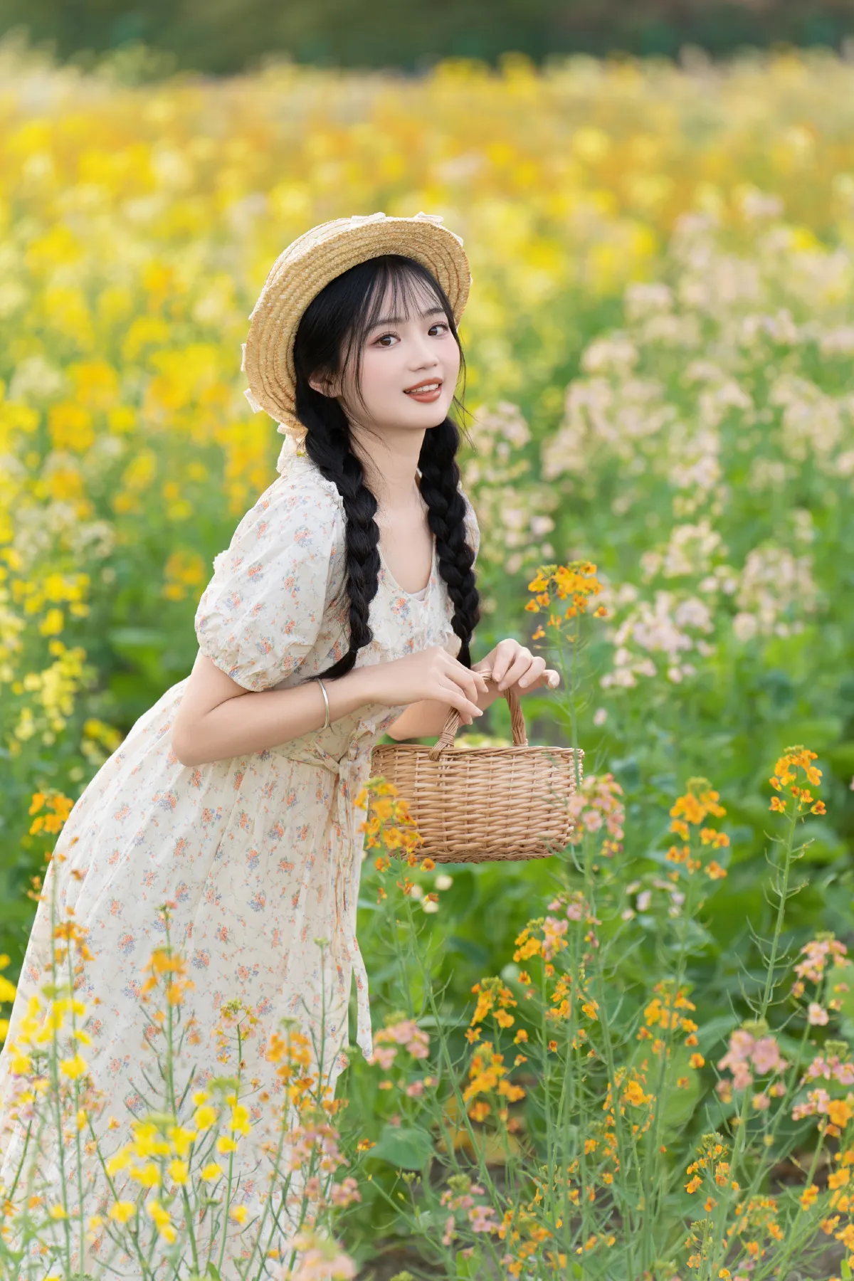 七彩油菜花