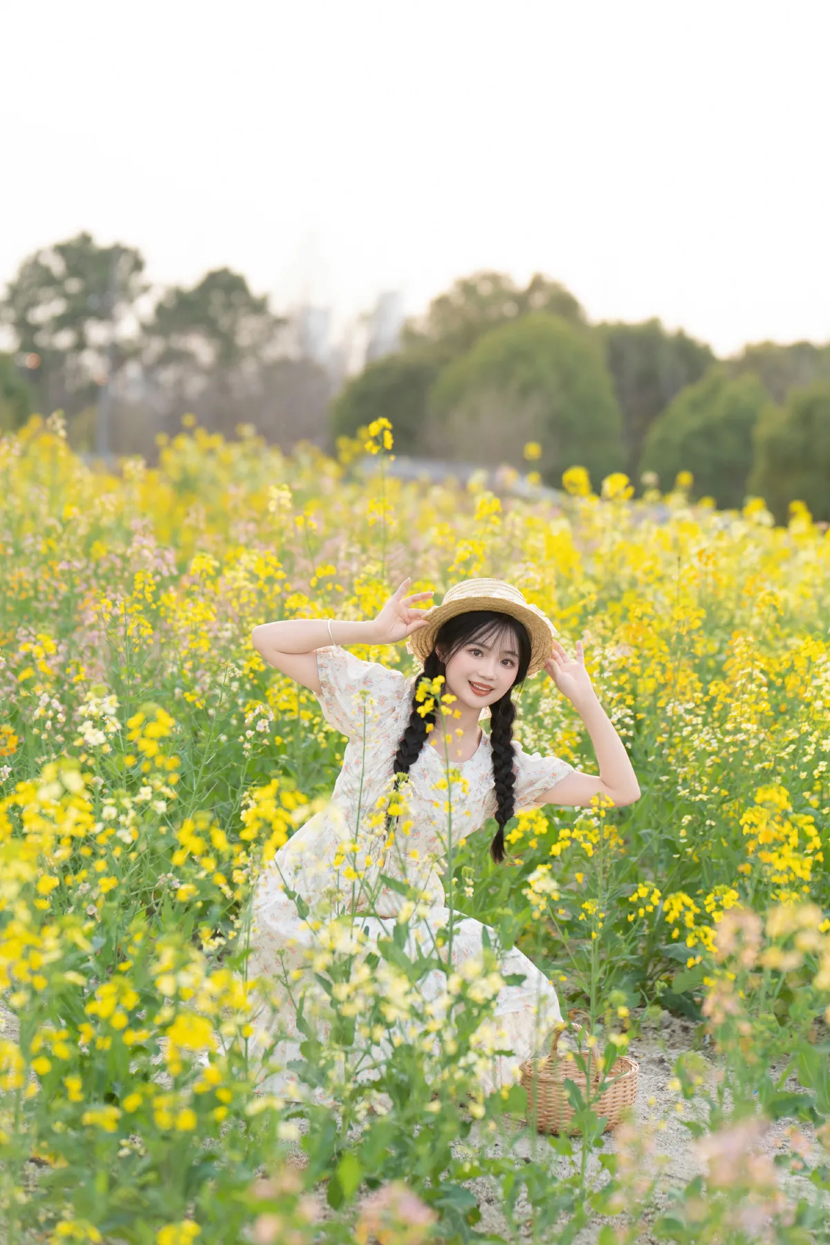 七彩油菜花