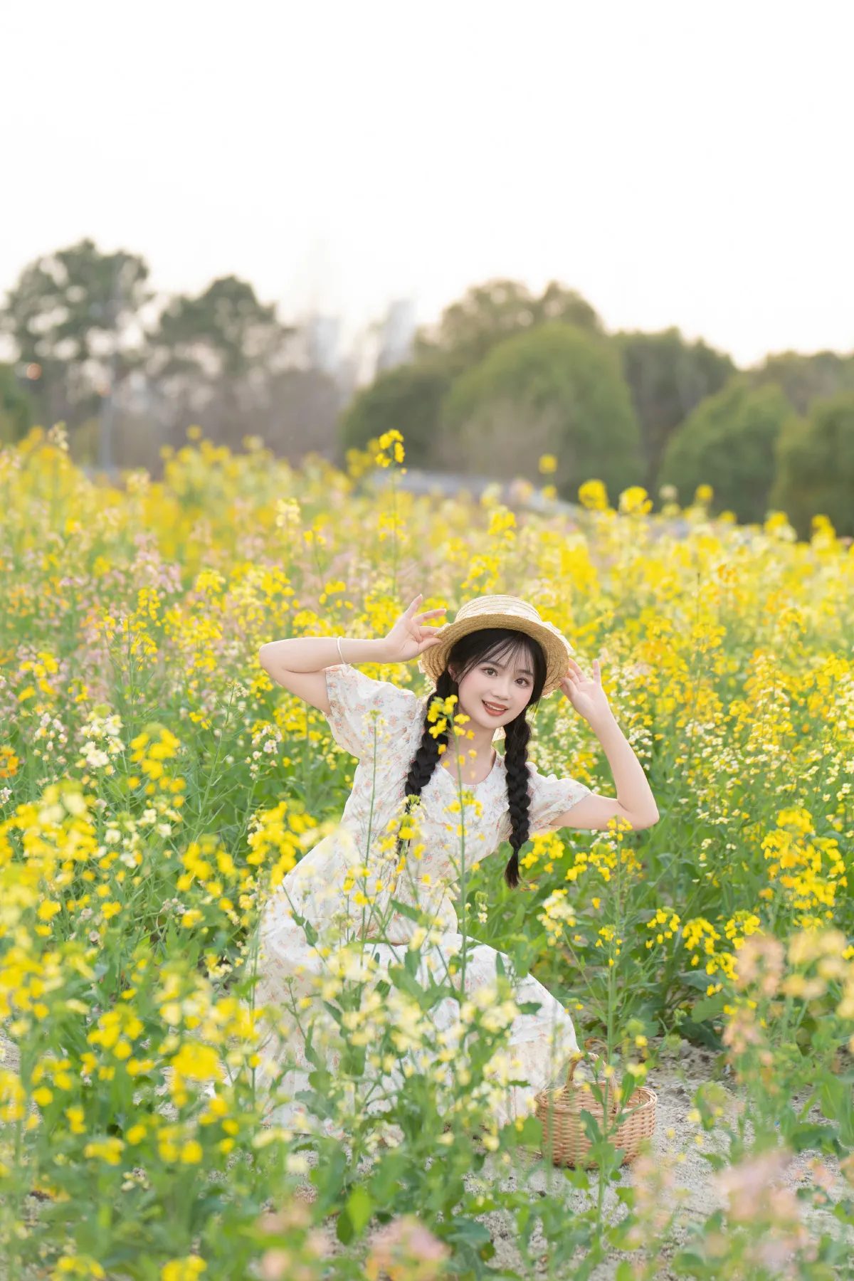 七彩油菜花3