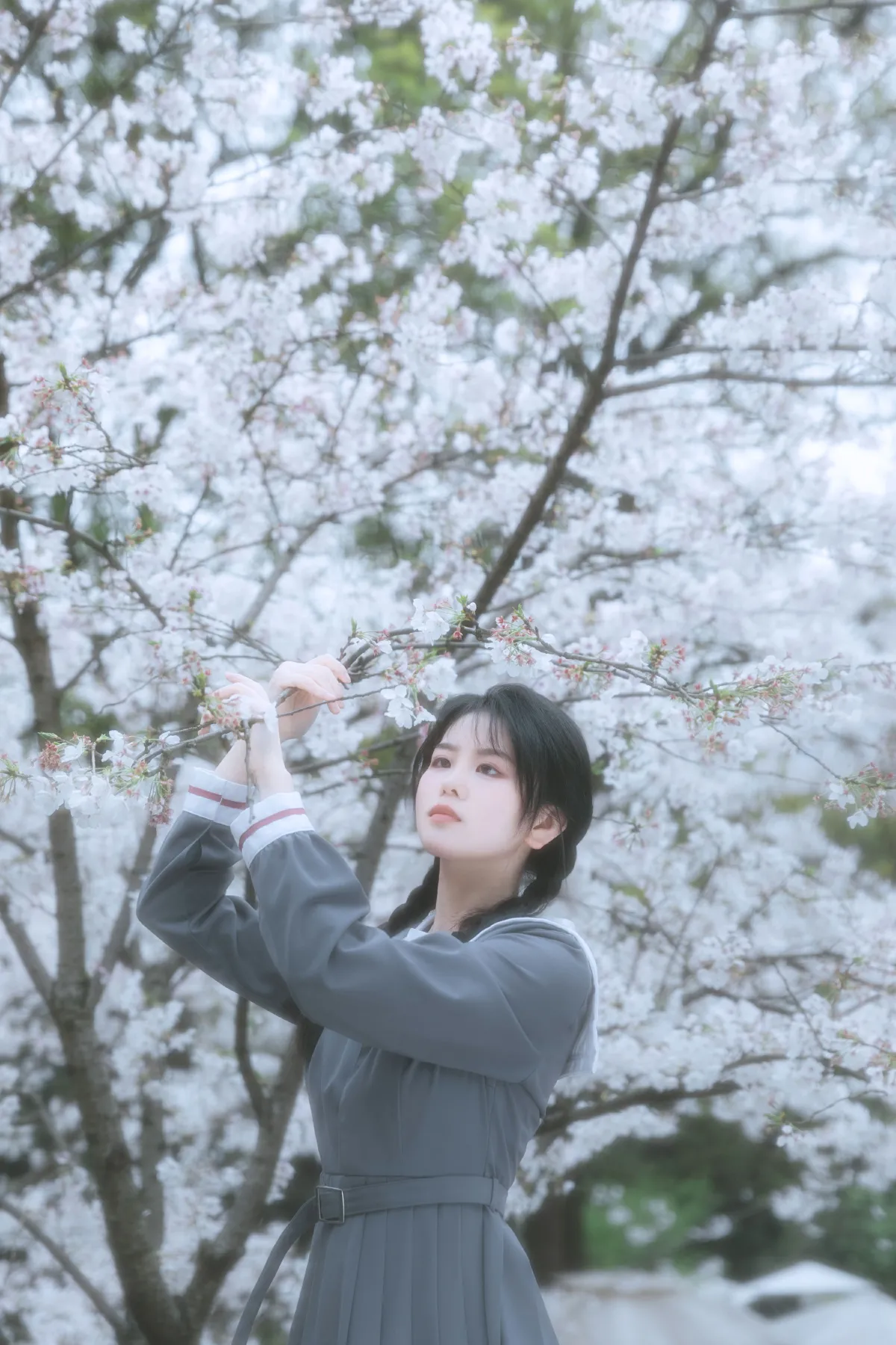 少女与花