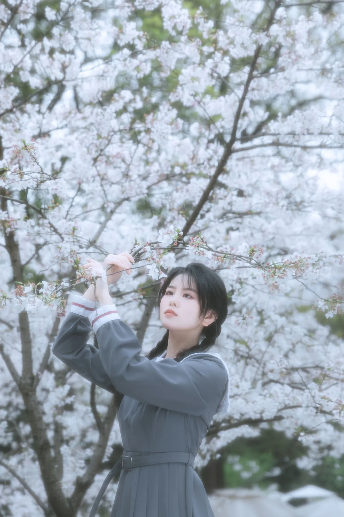 少女与花2
