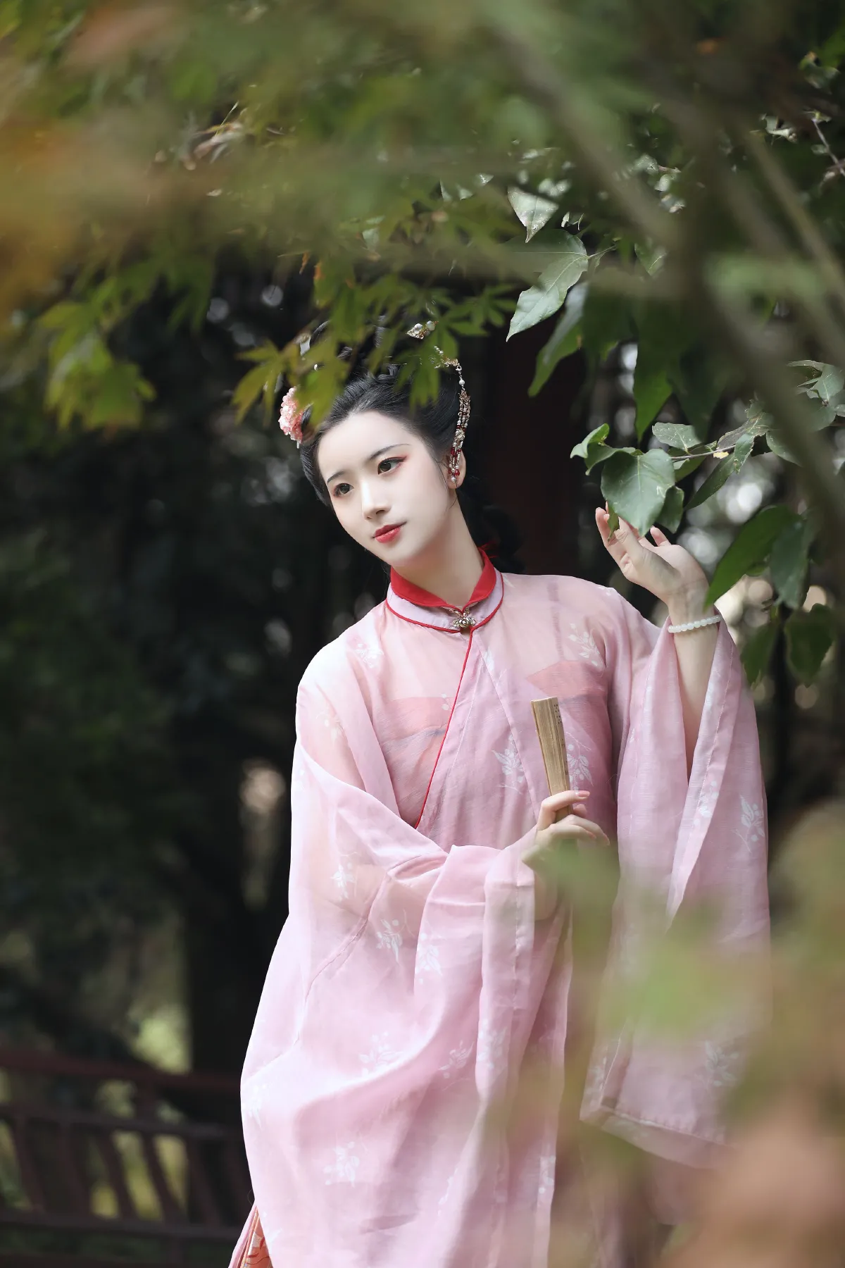 章台柳3
