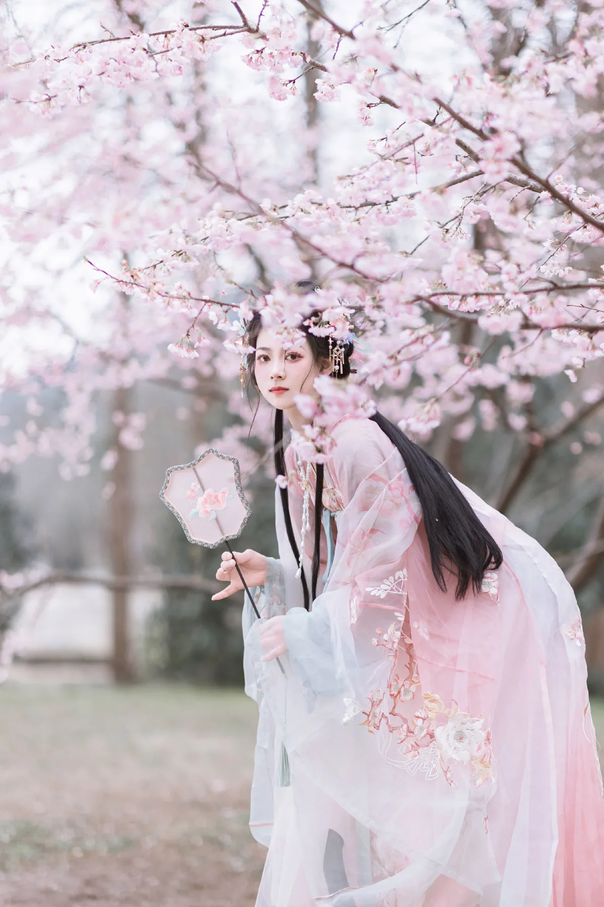 春之樱