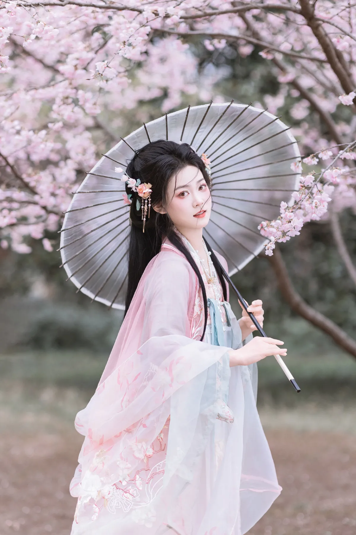 春之樱