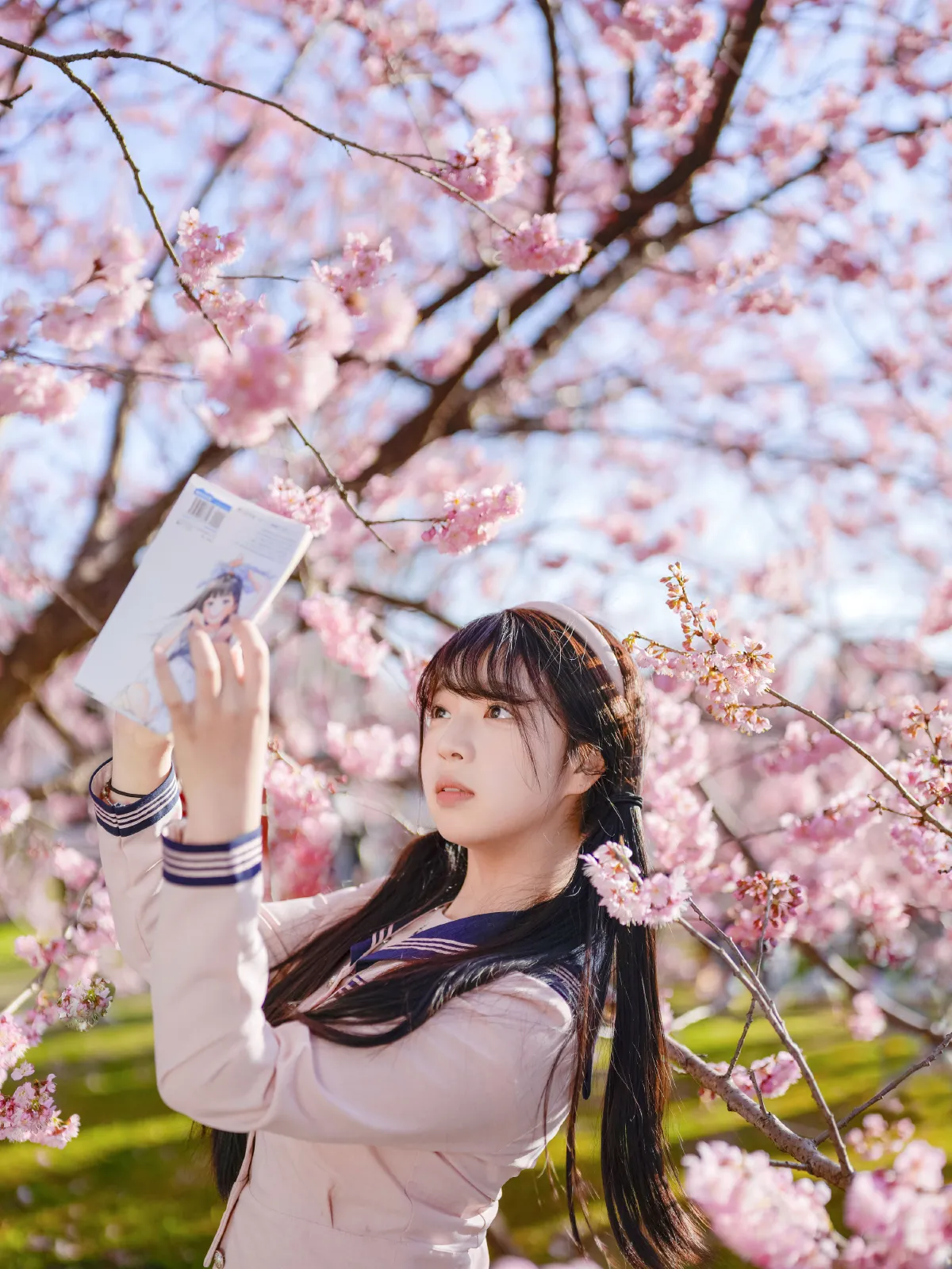 樱花jk
