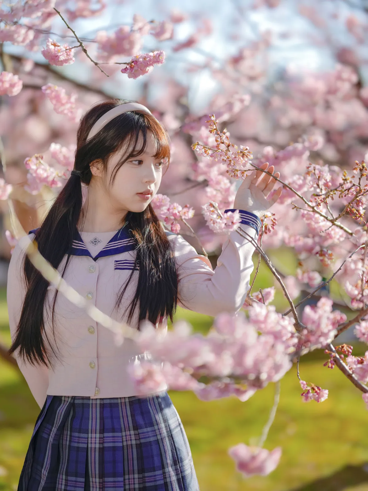 樱花jk