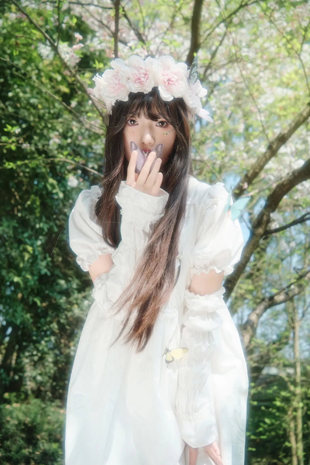 蝴蝶梦1