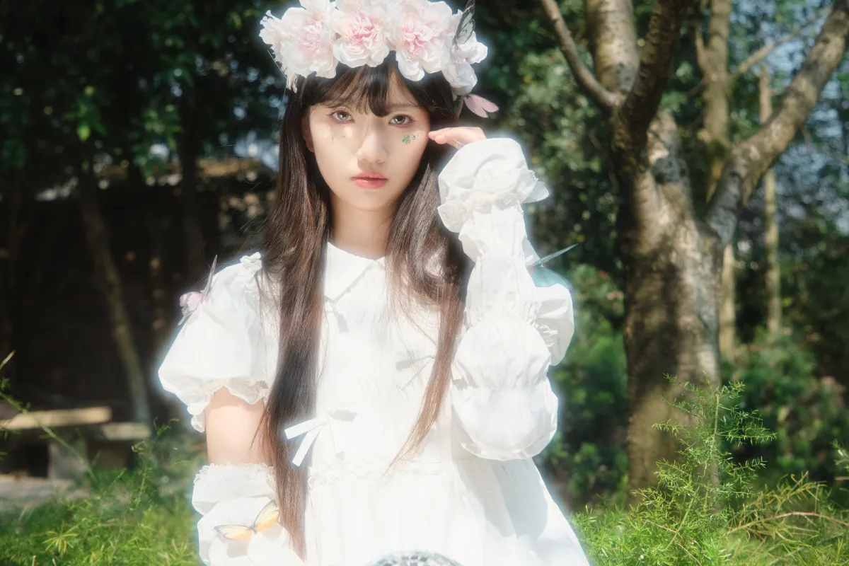 蝴蝶梦2