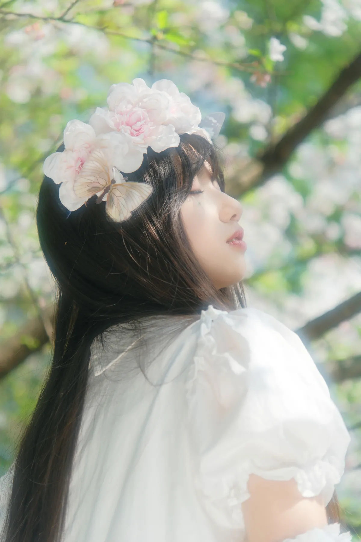 蝴蝶梦