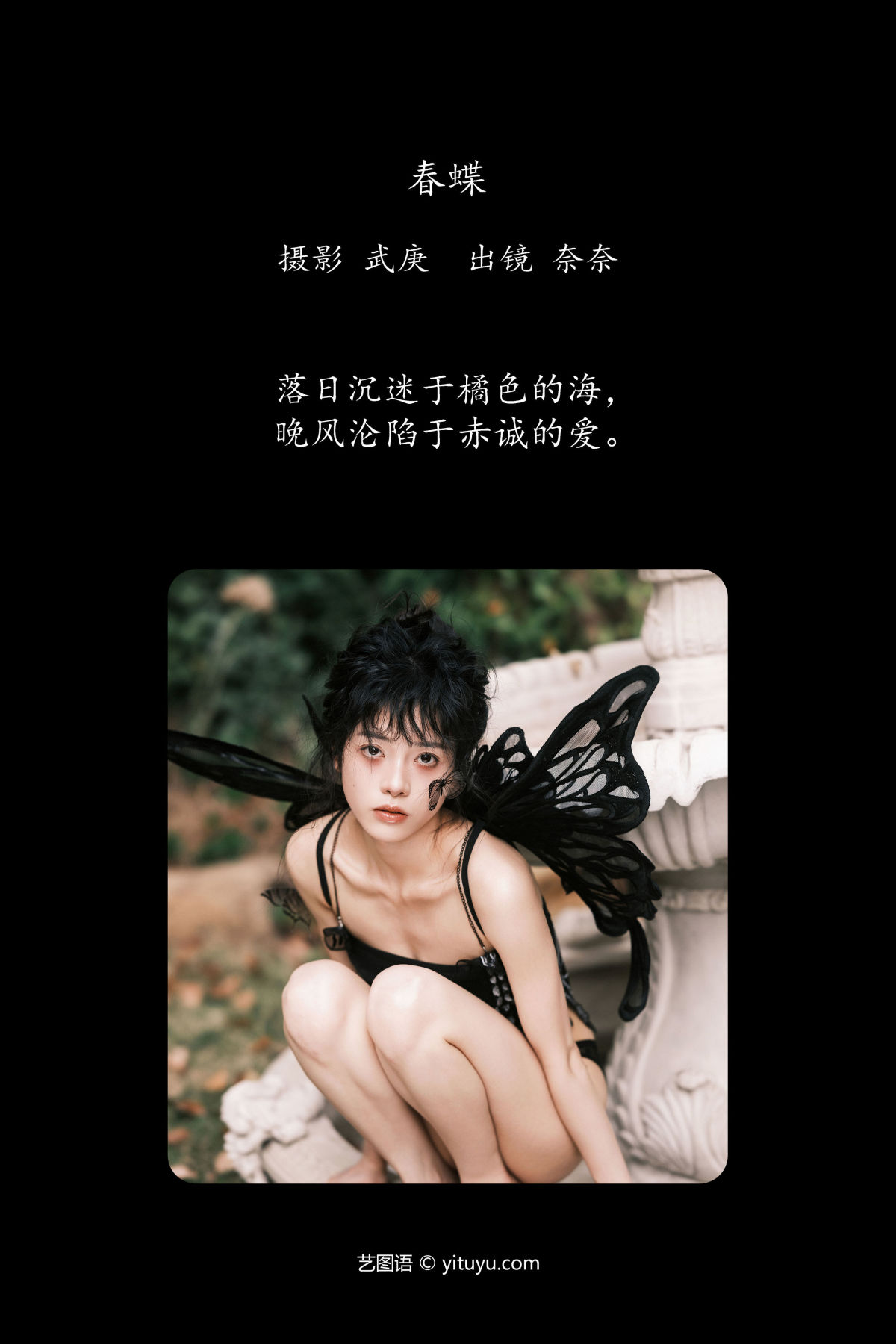 武庚_小松麻奈《春蝶》美图作品图片2