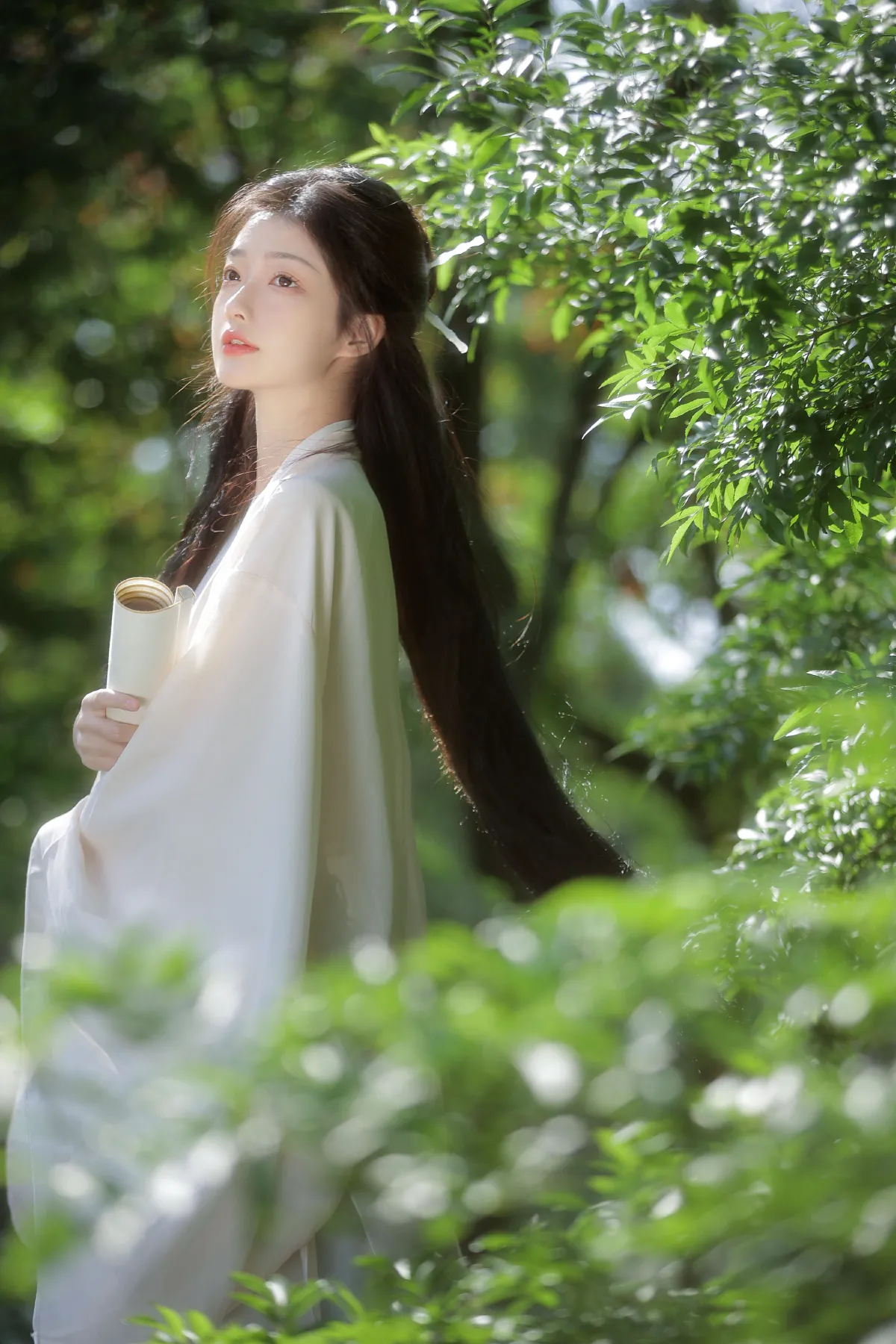 长风渡3