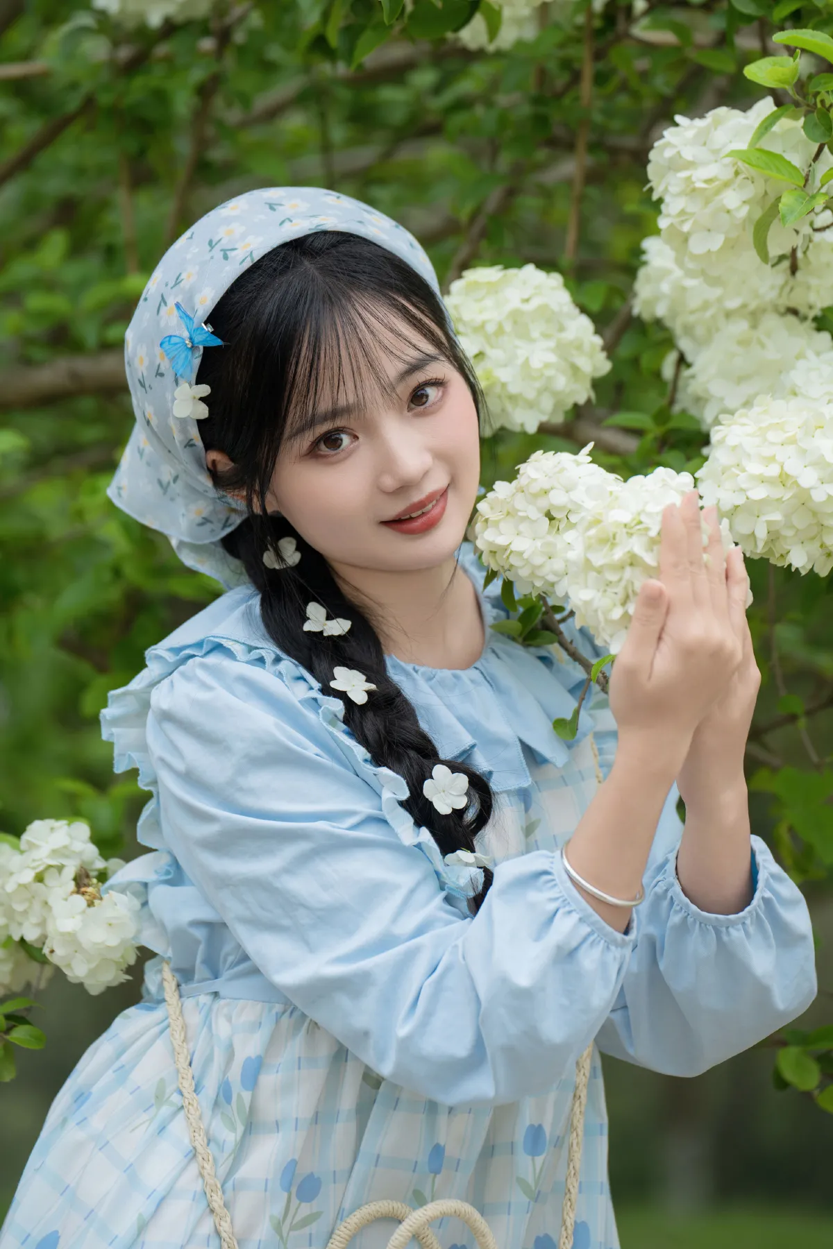 春天的一抹白