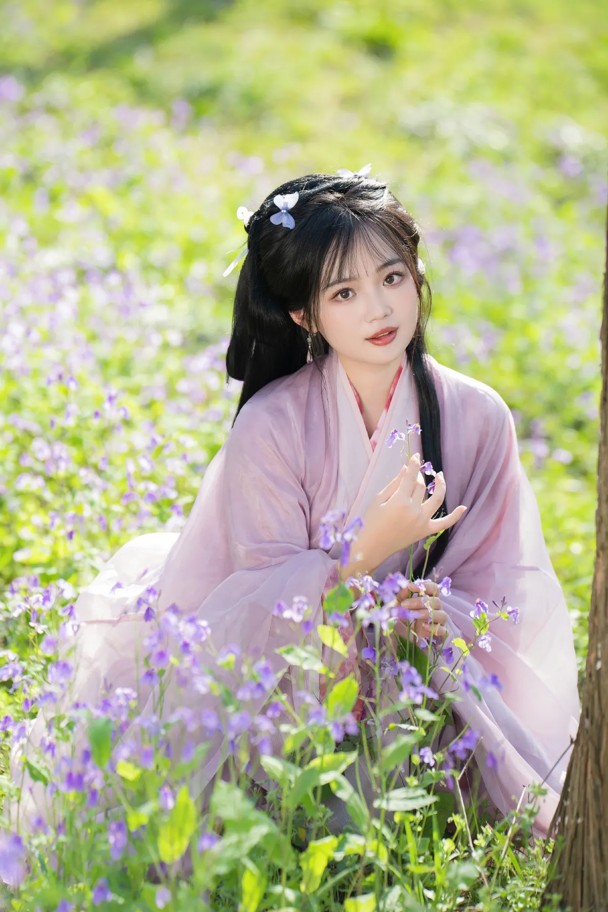 紫色小花3