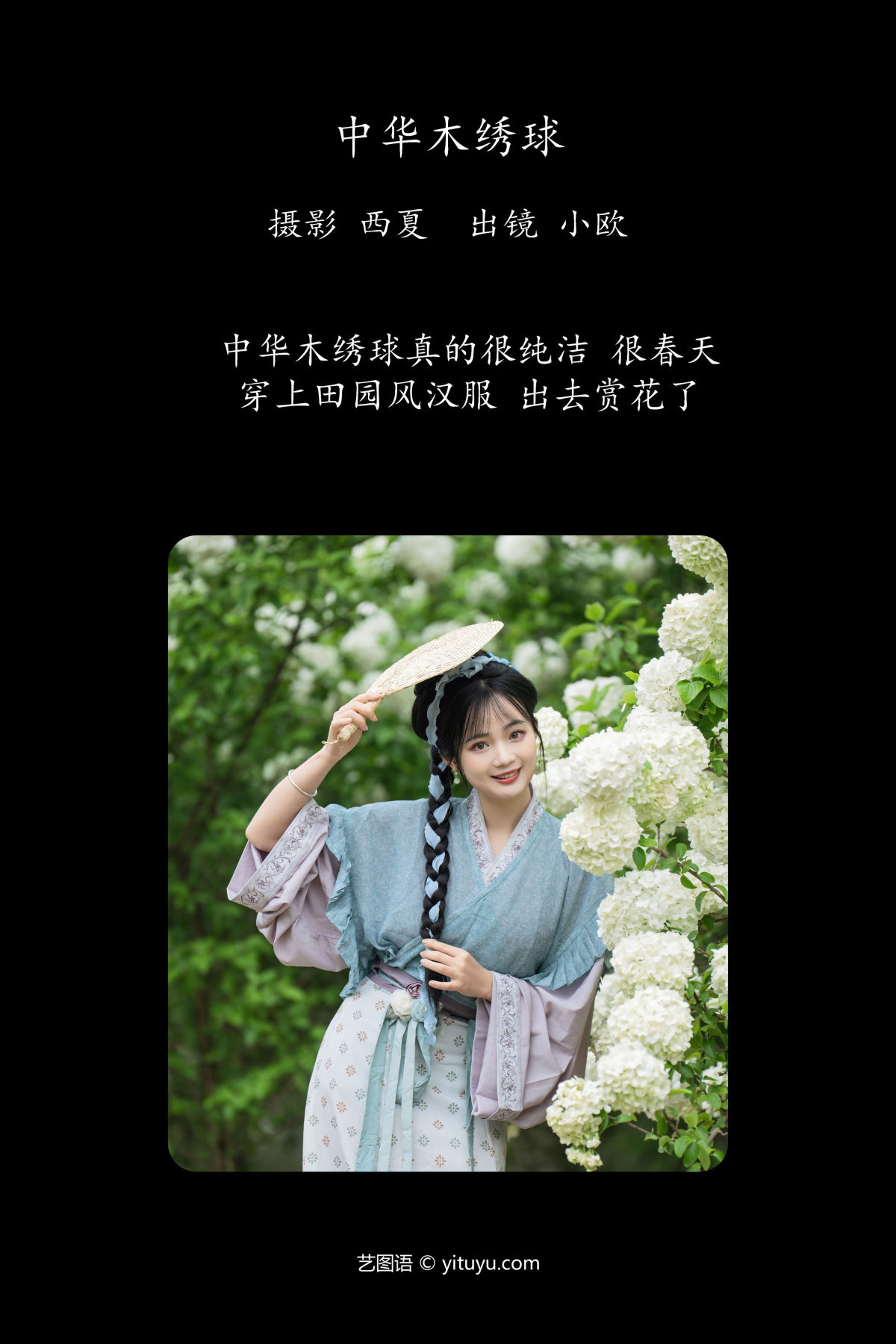 西夏_小欧O《中华木绣球》美图作品图片2