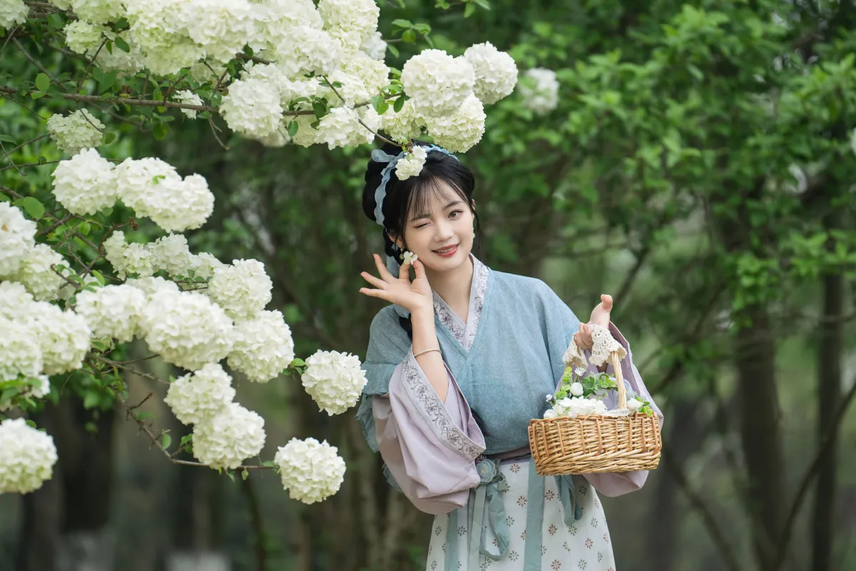 中华木绣球3