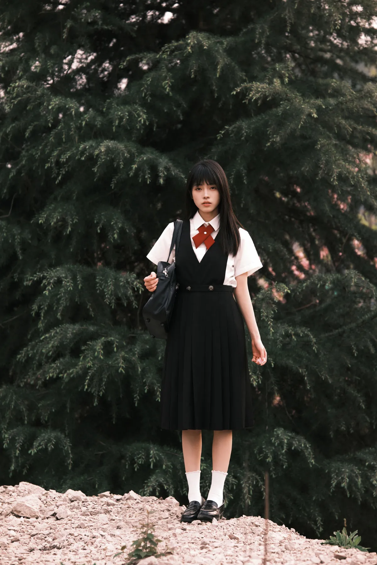 晚樱1