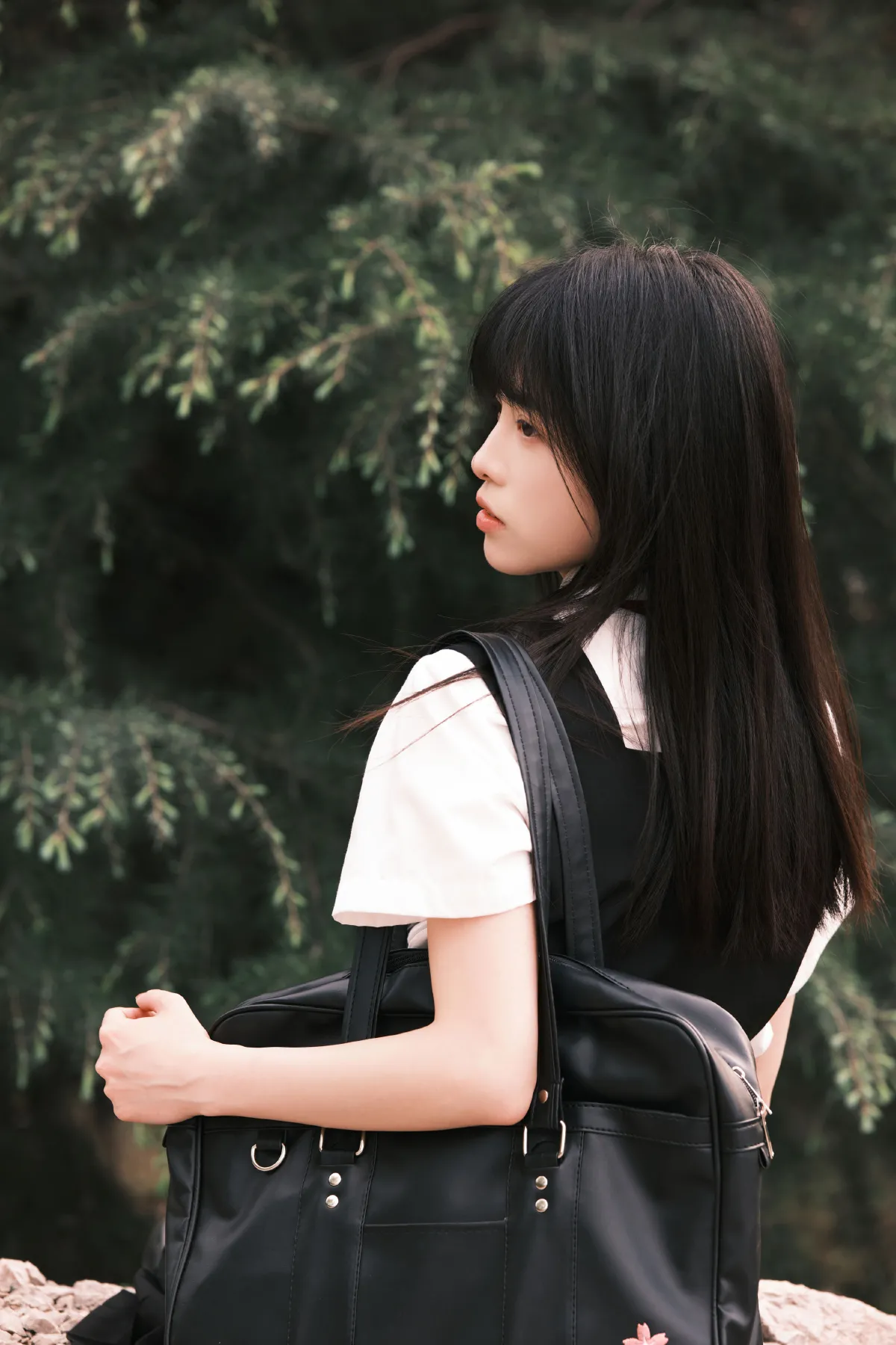 晚樱