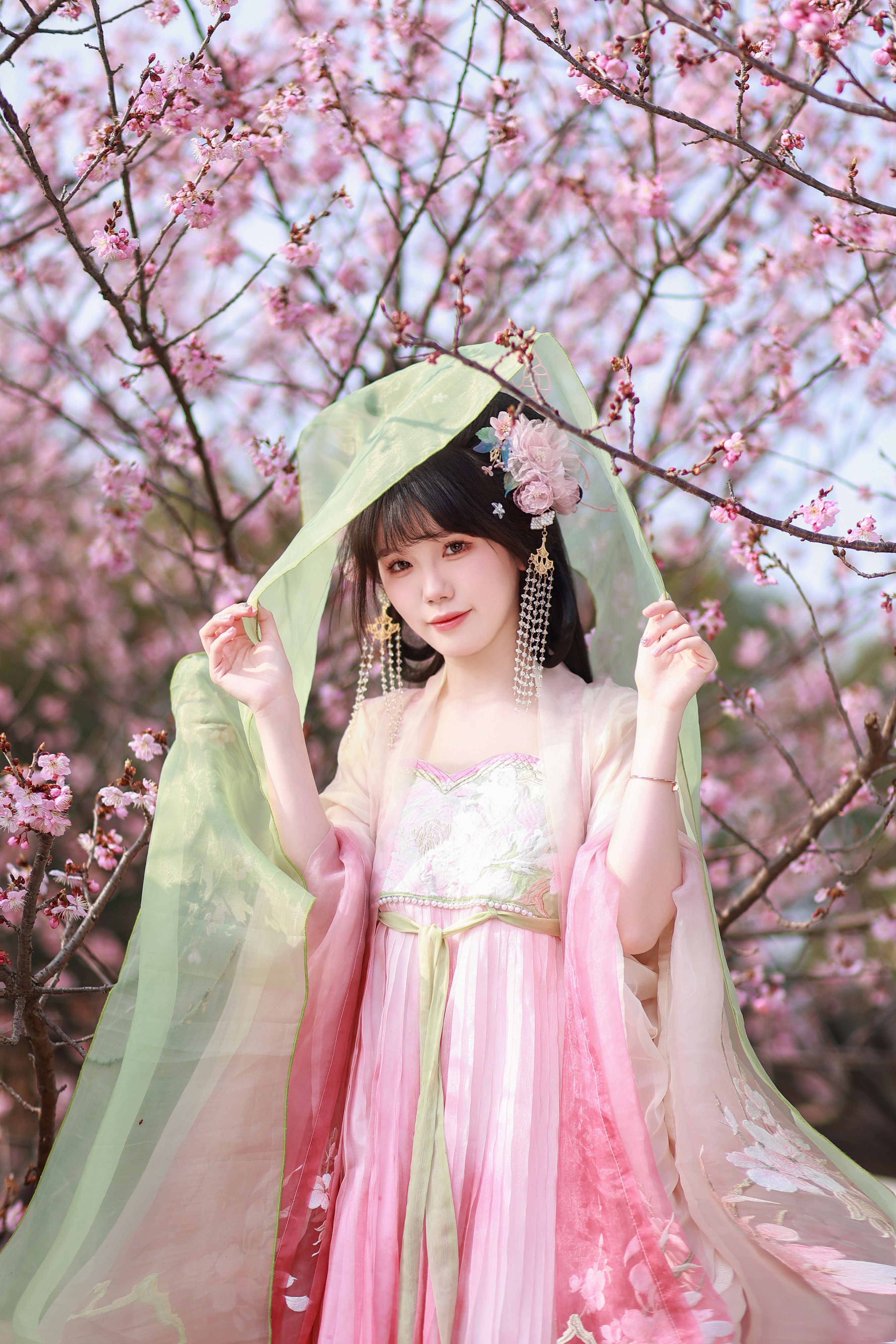 春樱1