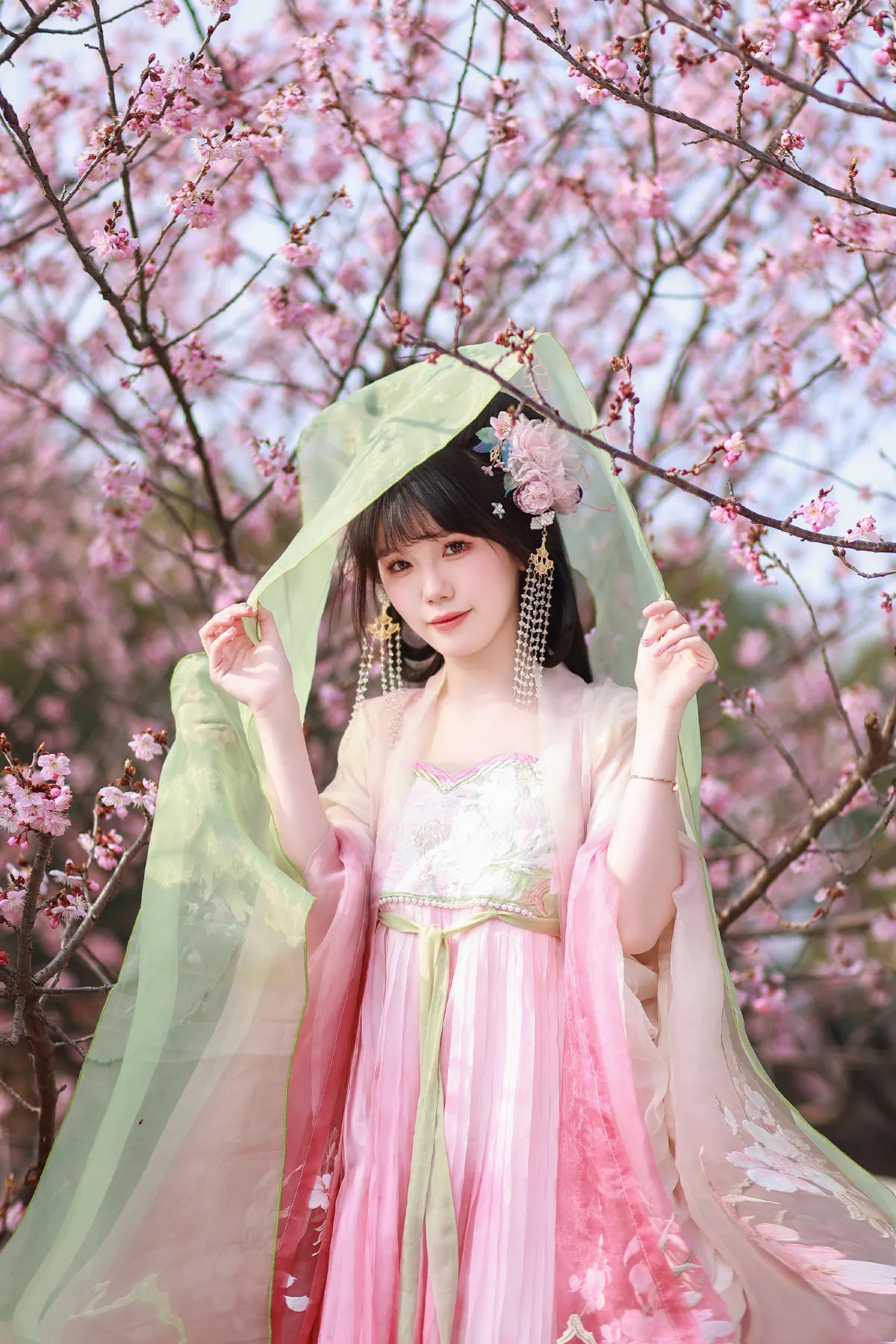 春樱1