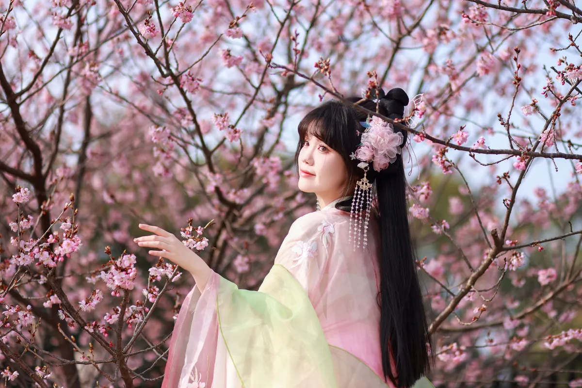 春樱2