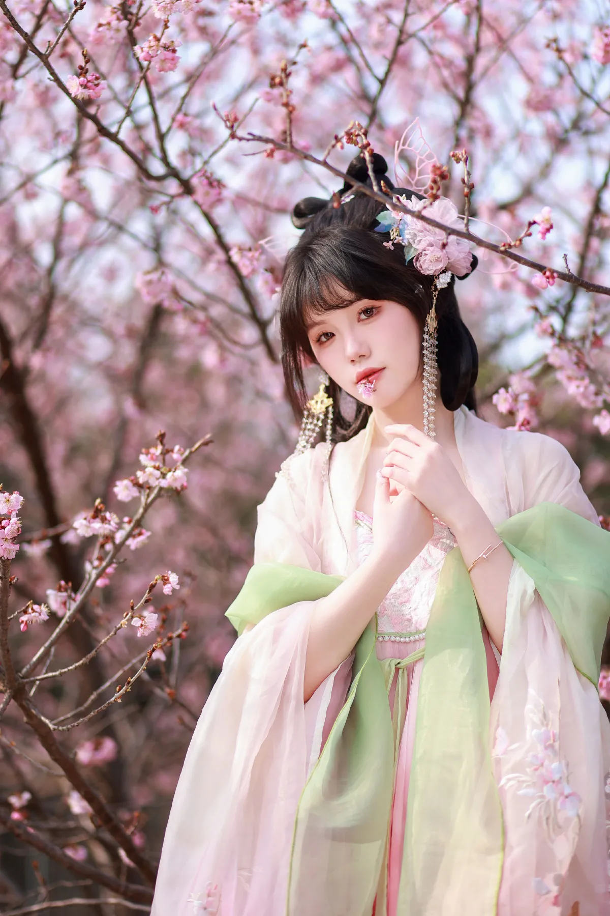春樱