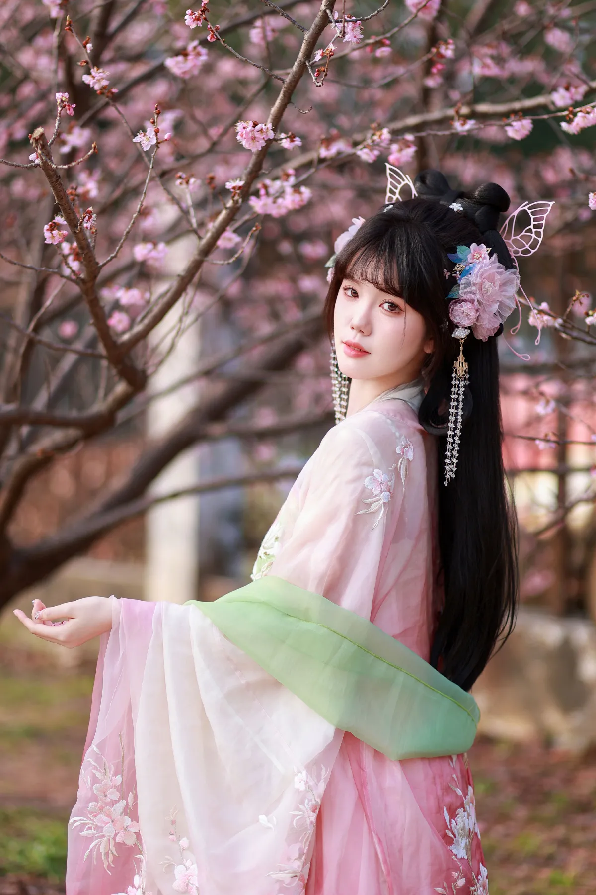 春樱