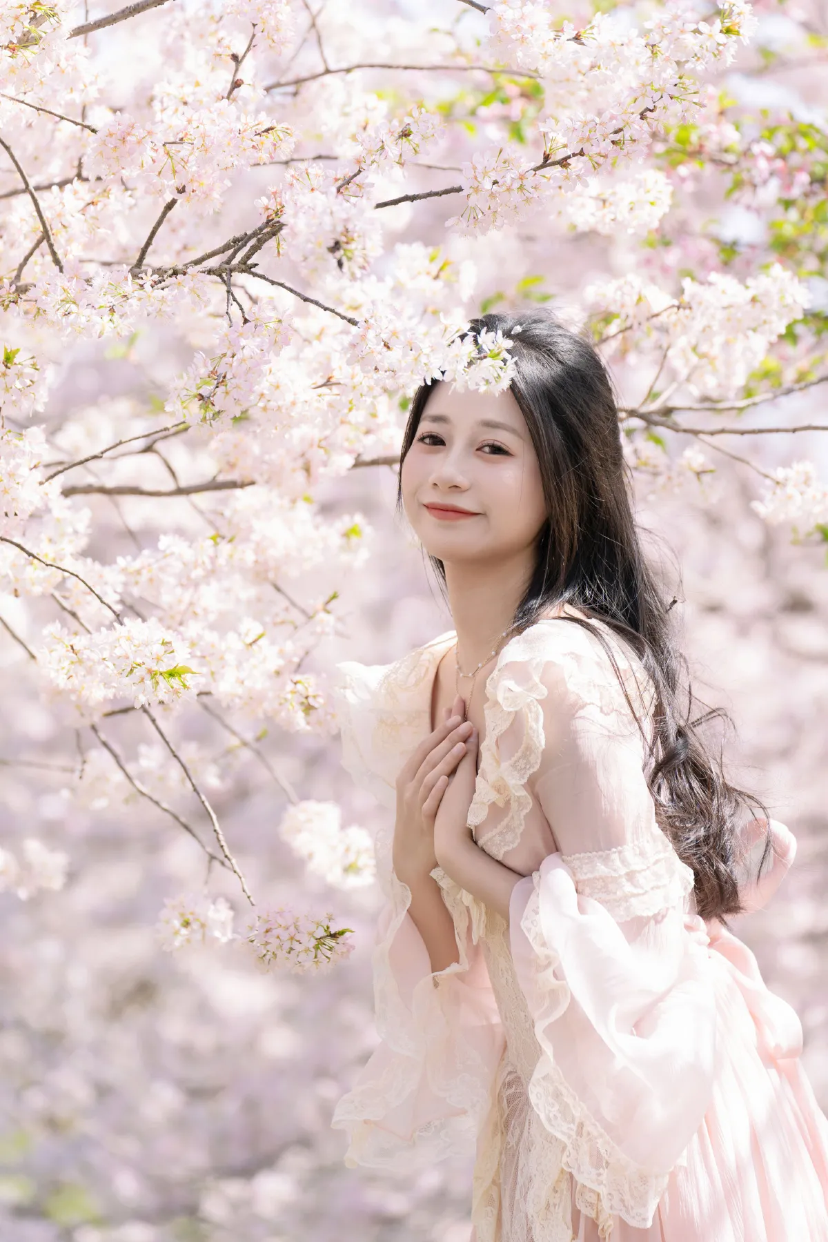 樱花树下的她