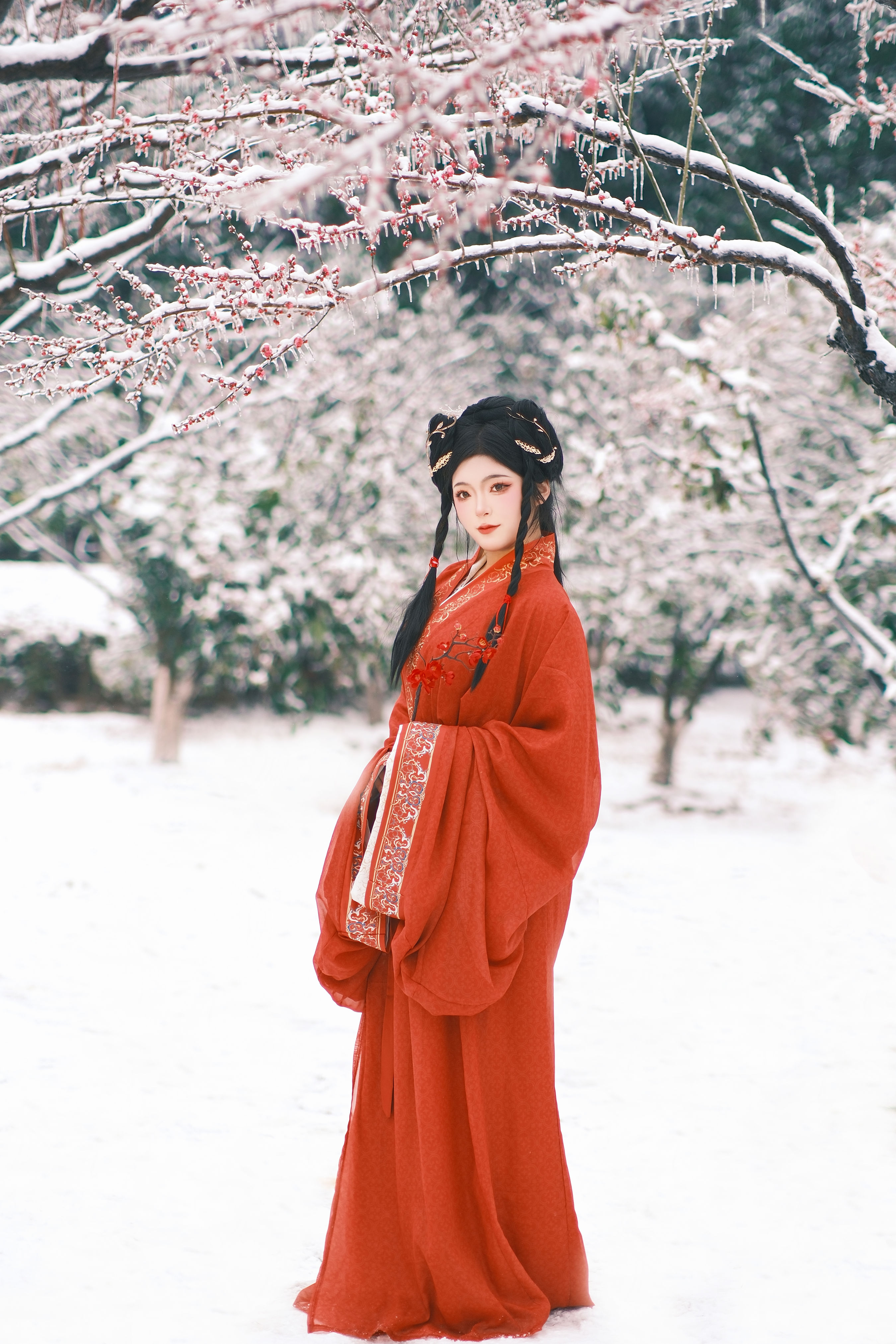 妲己
